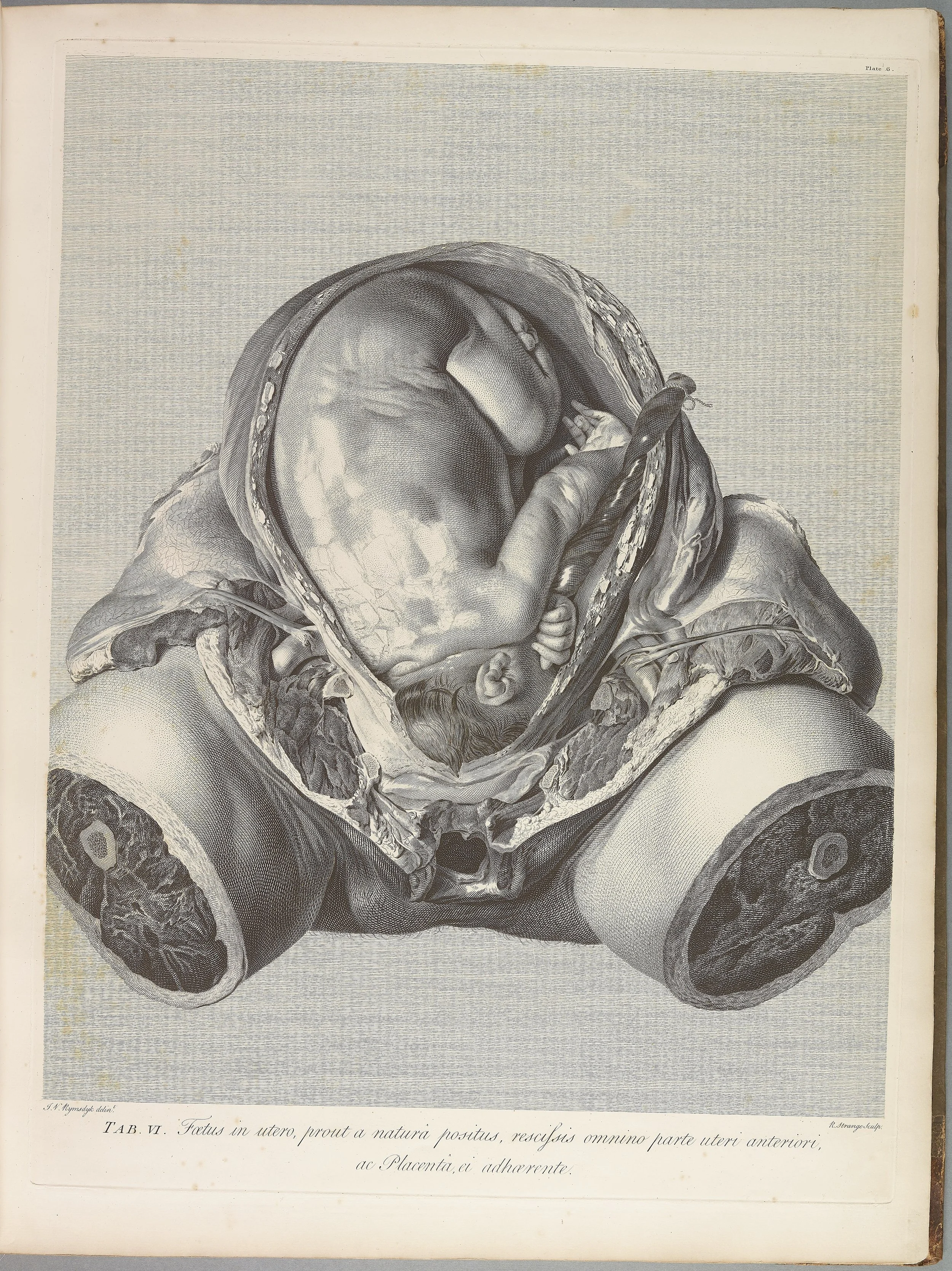 RM1483_010R.jpg