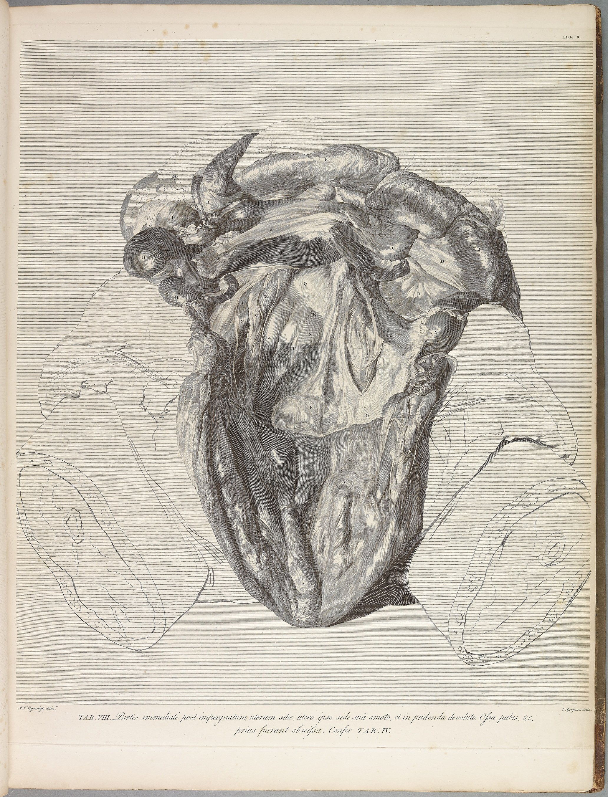 RM1483_012R.jpg
