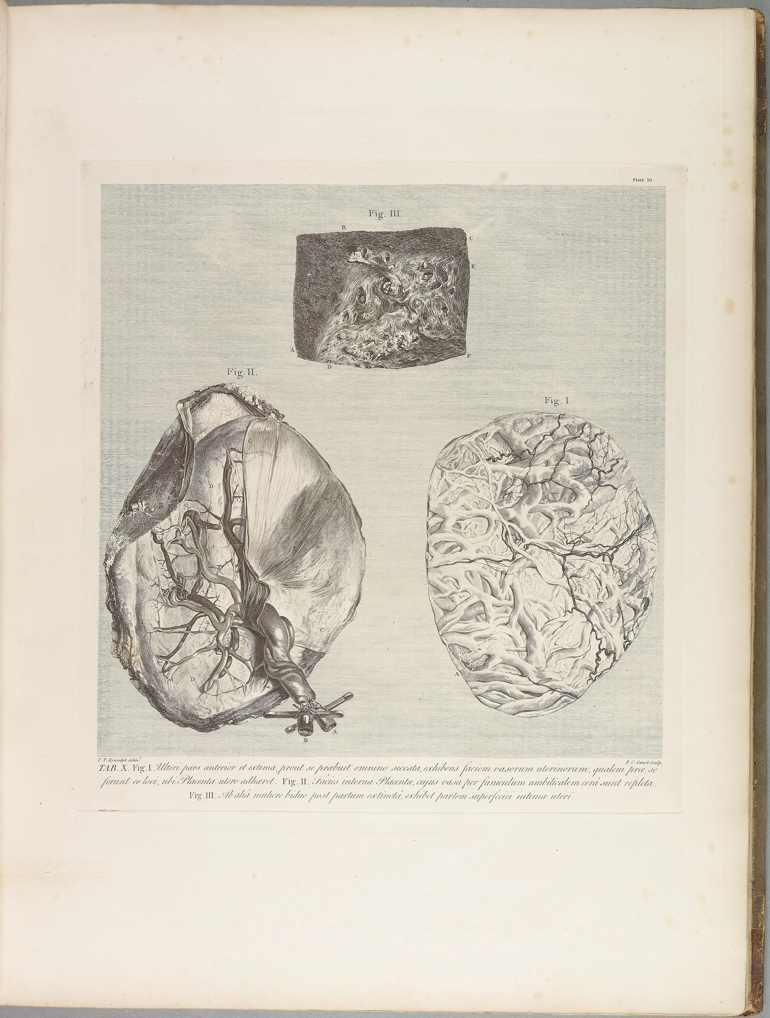 RM1483_014R.jpg