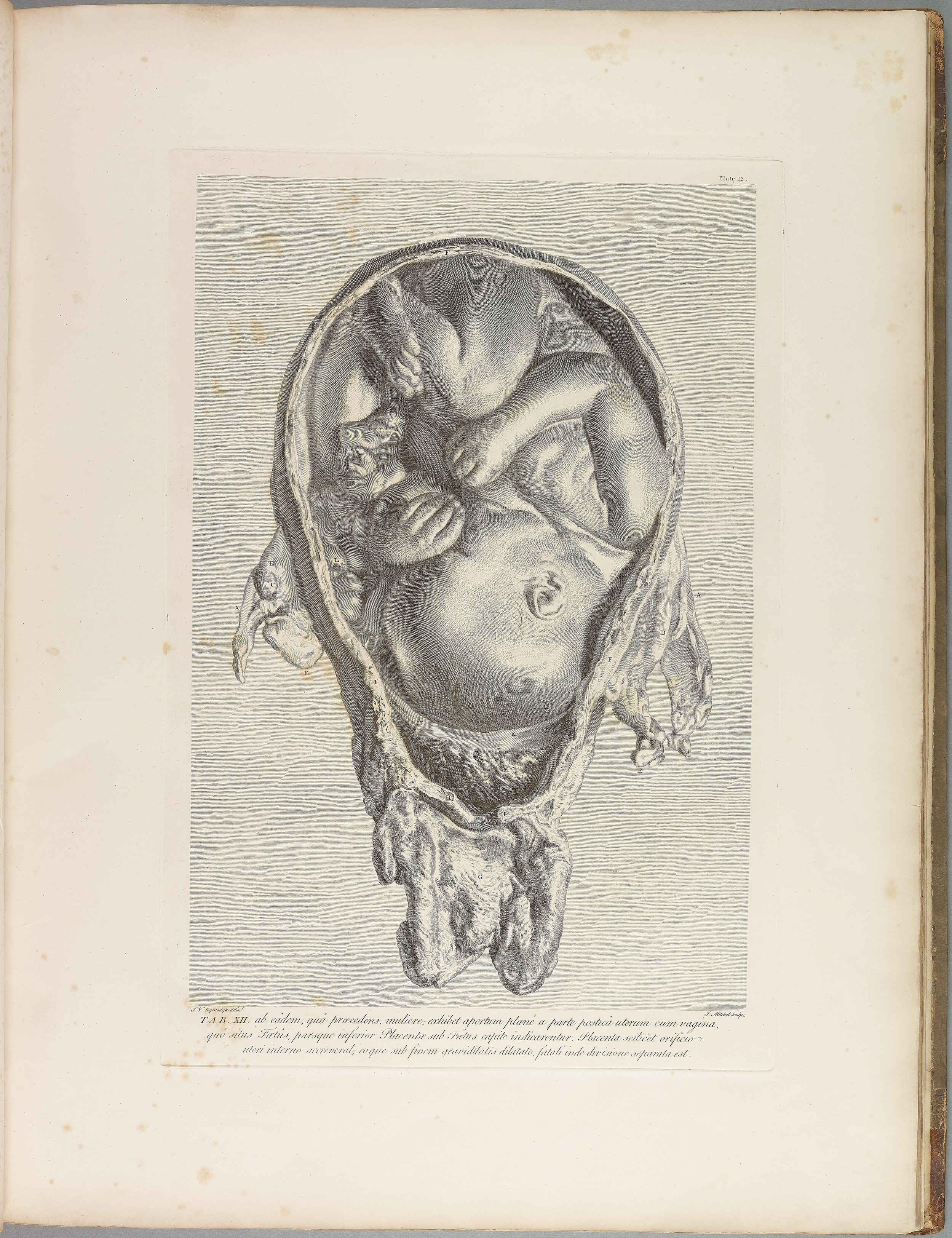 RM1483_016R.jpg