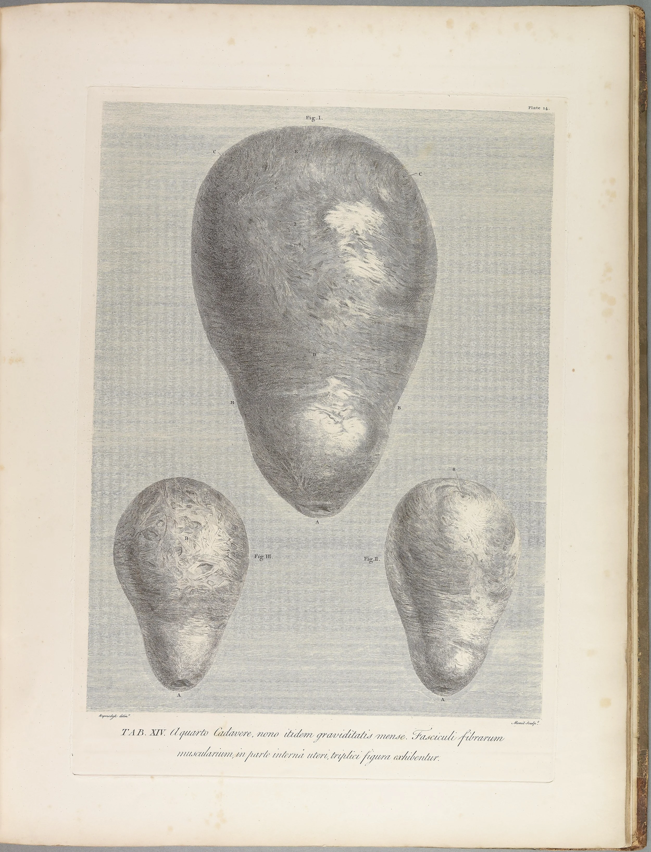 RM1483_018R.jpg