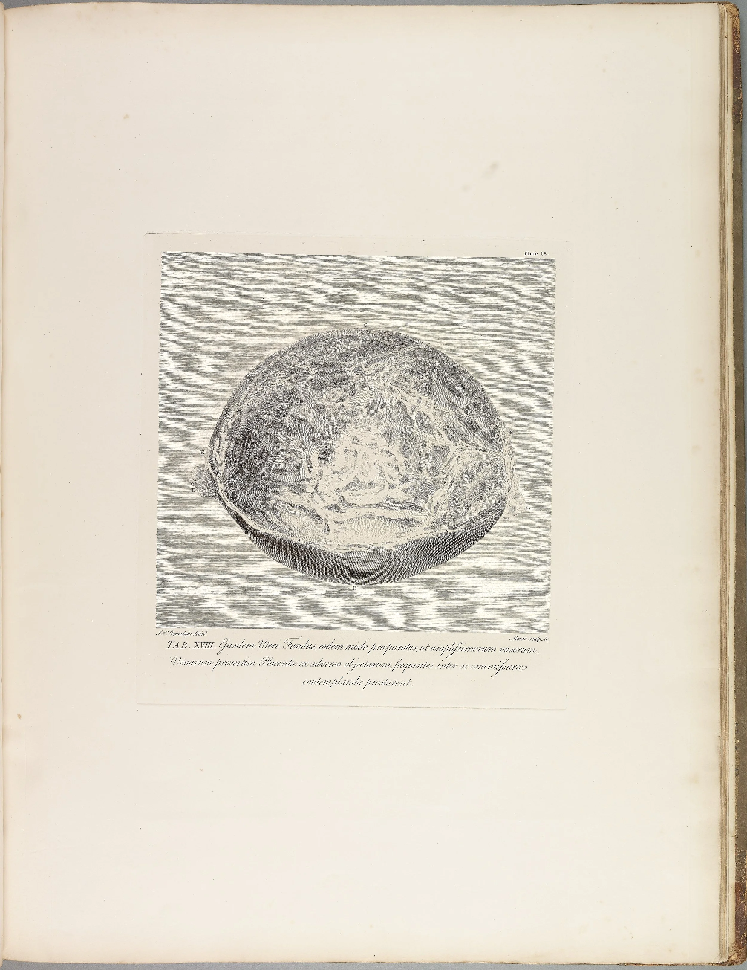 RM1483_022R.jpg