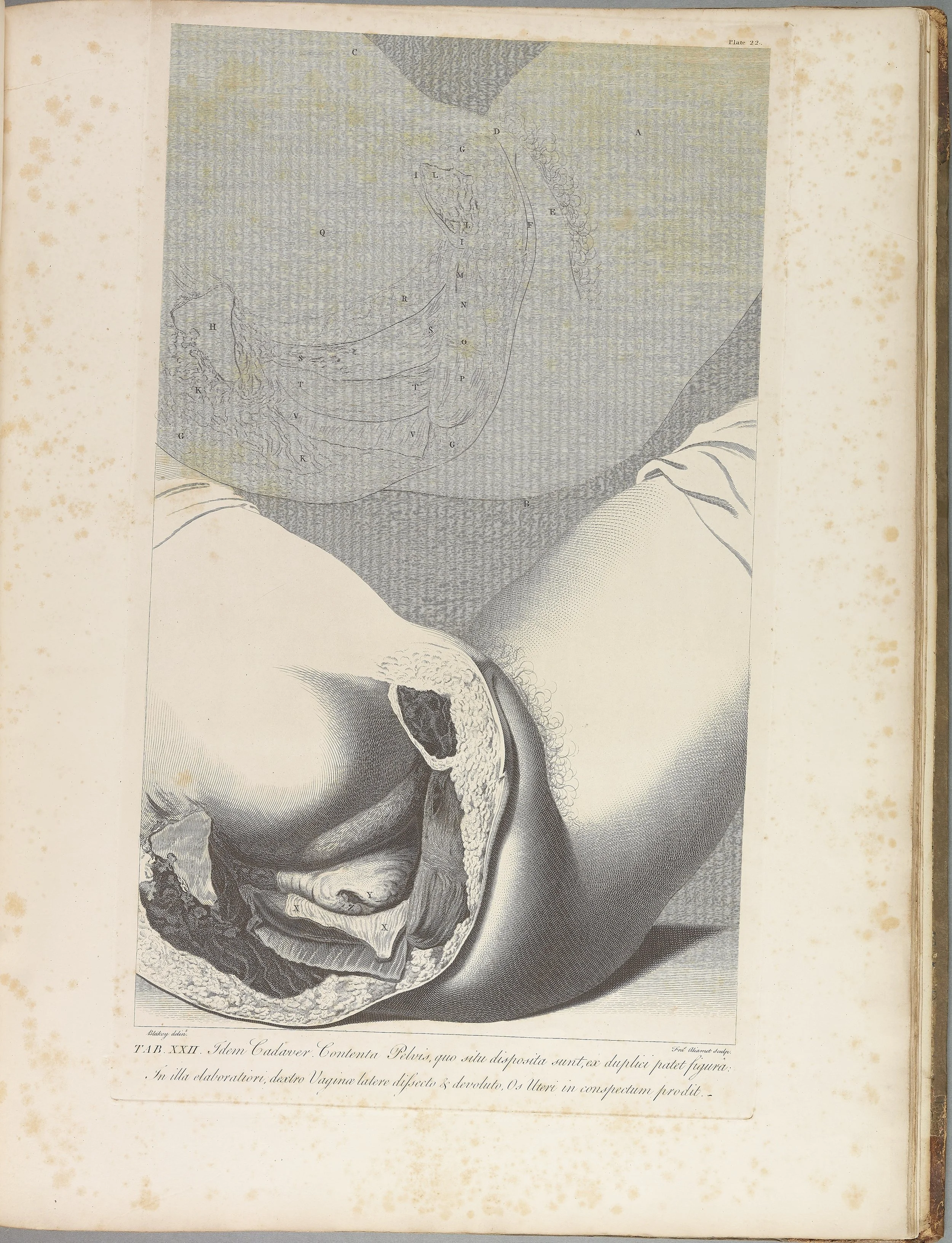 RM1483_026R.jpg