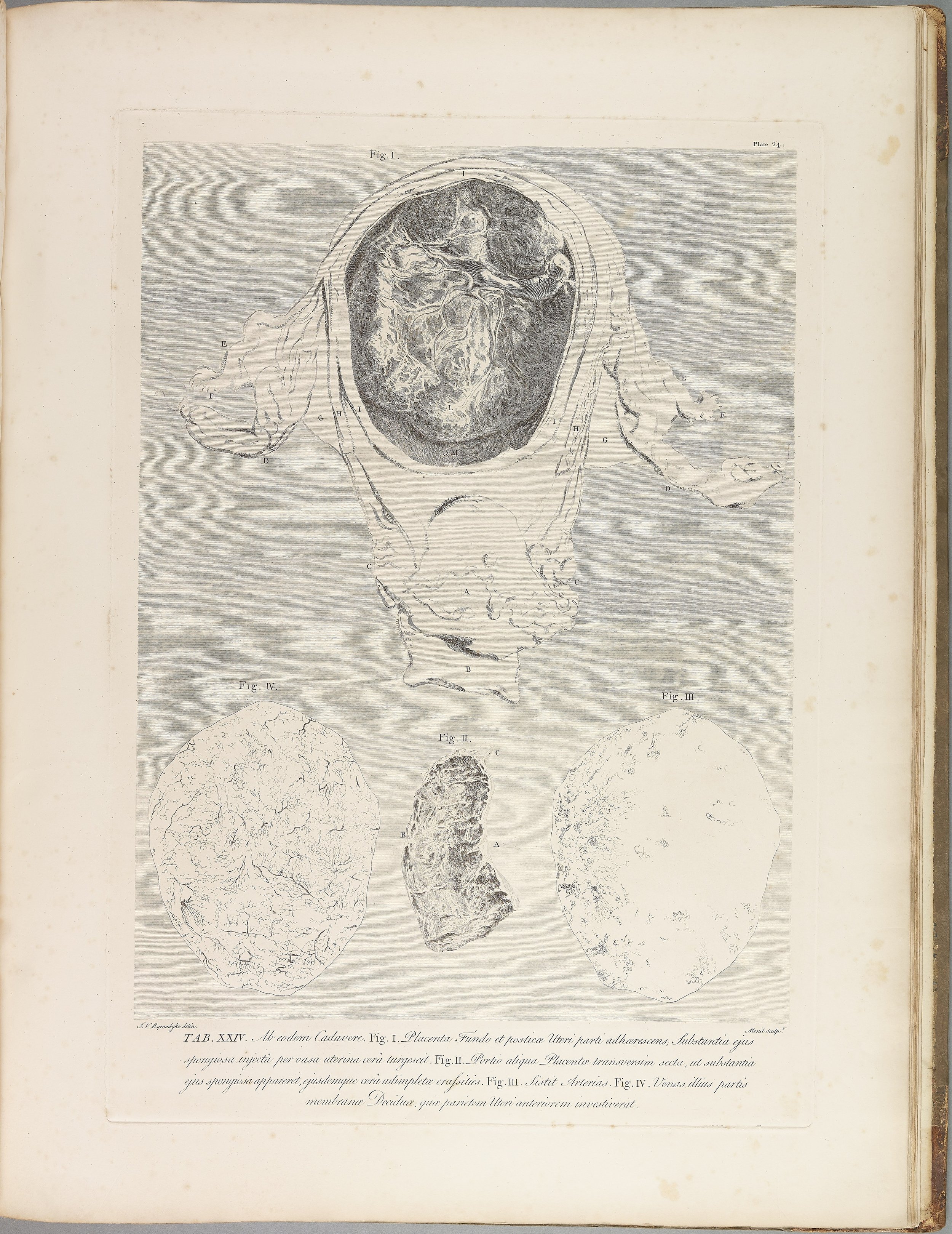 RM1483_028R.jpg