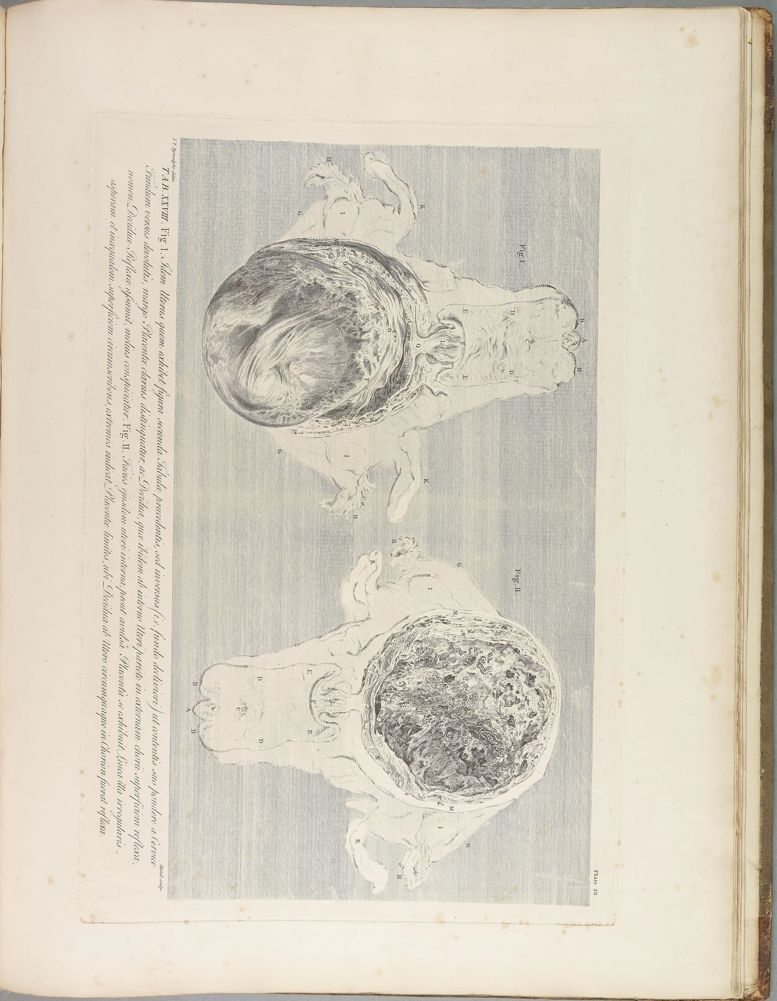 RM1483_032R.jpg