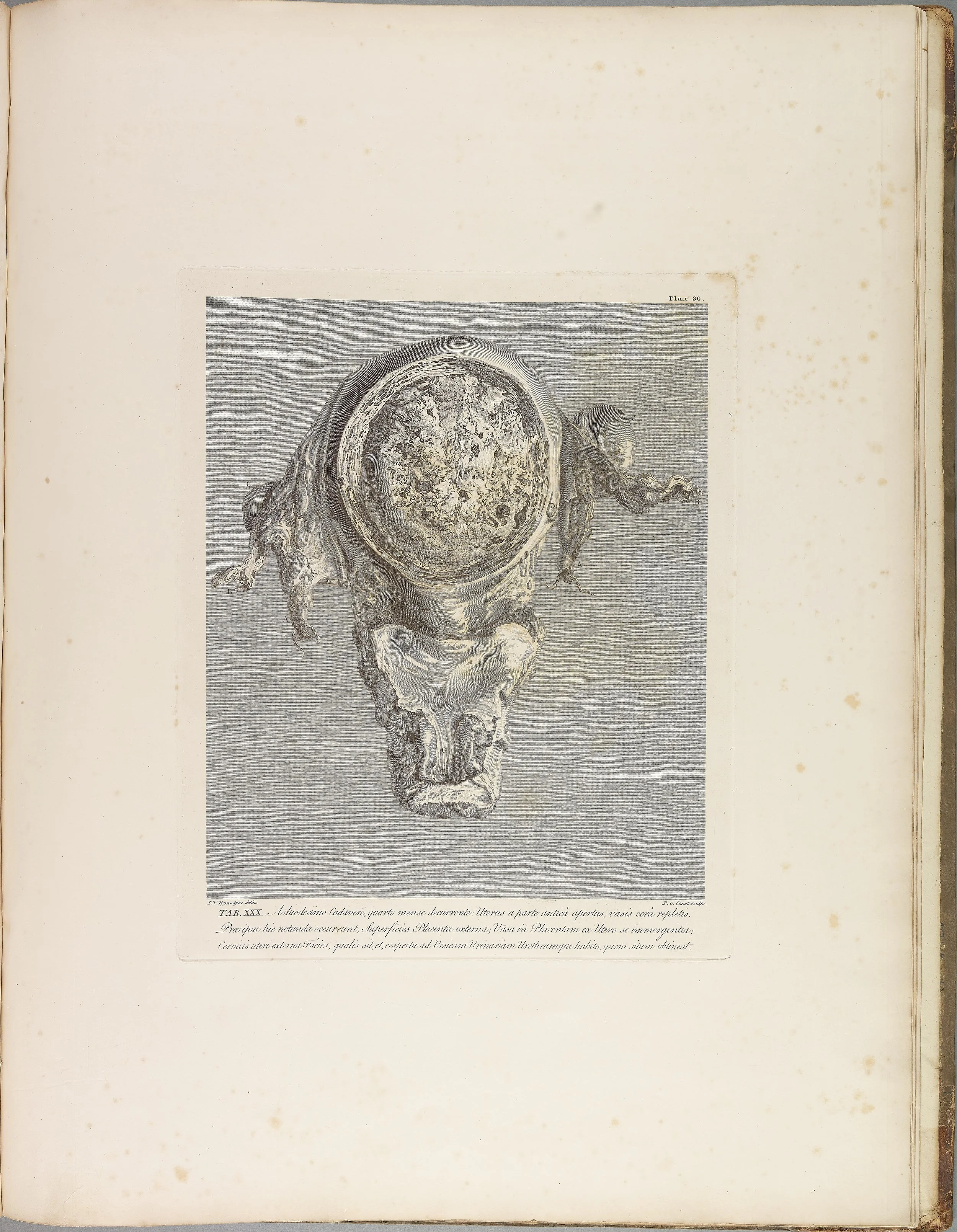 RM1483_034R.jpg