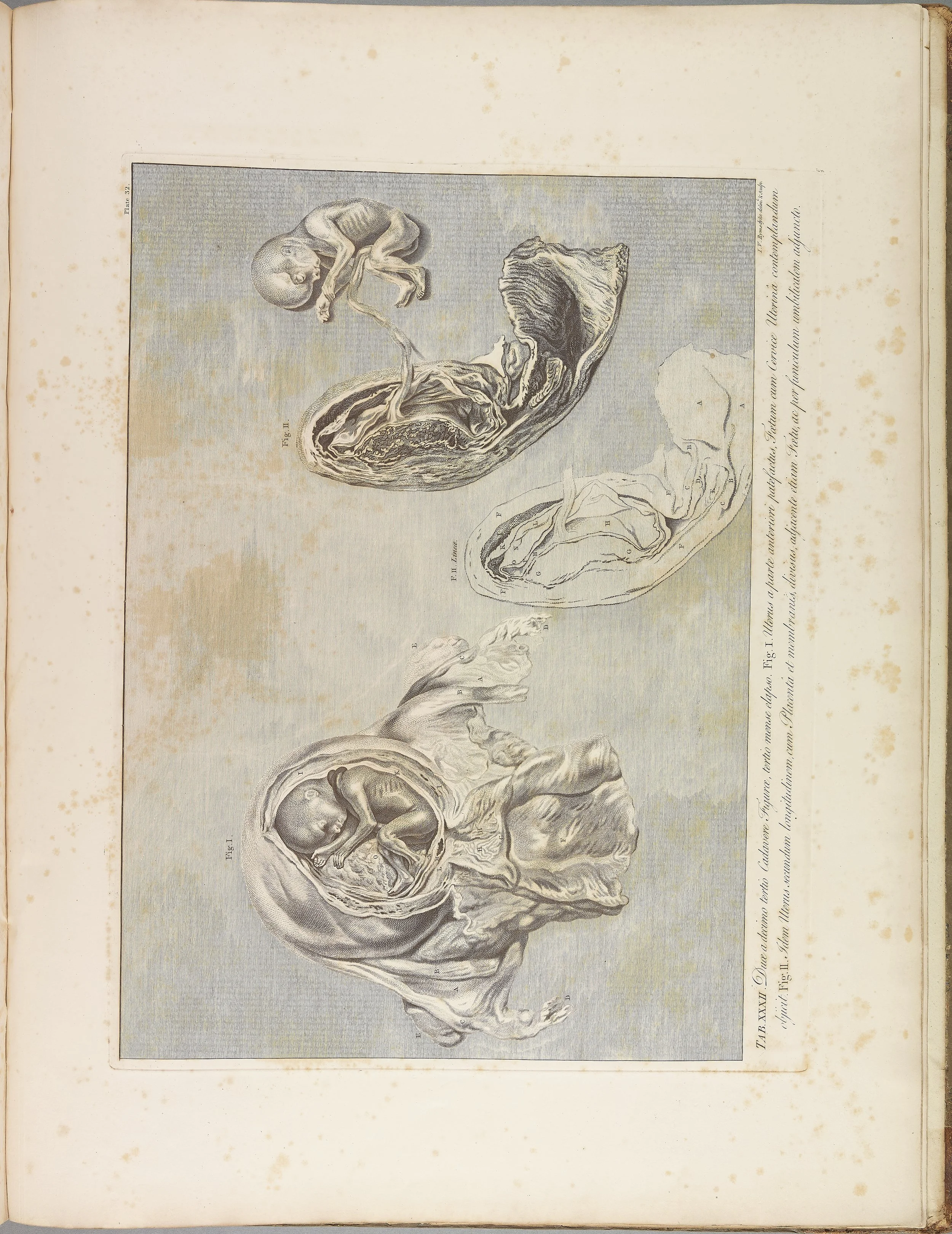 RM1483_036R.jpg