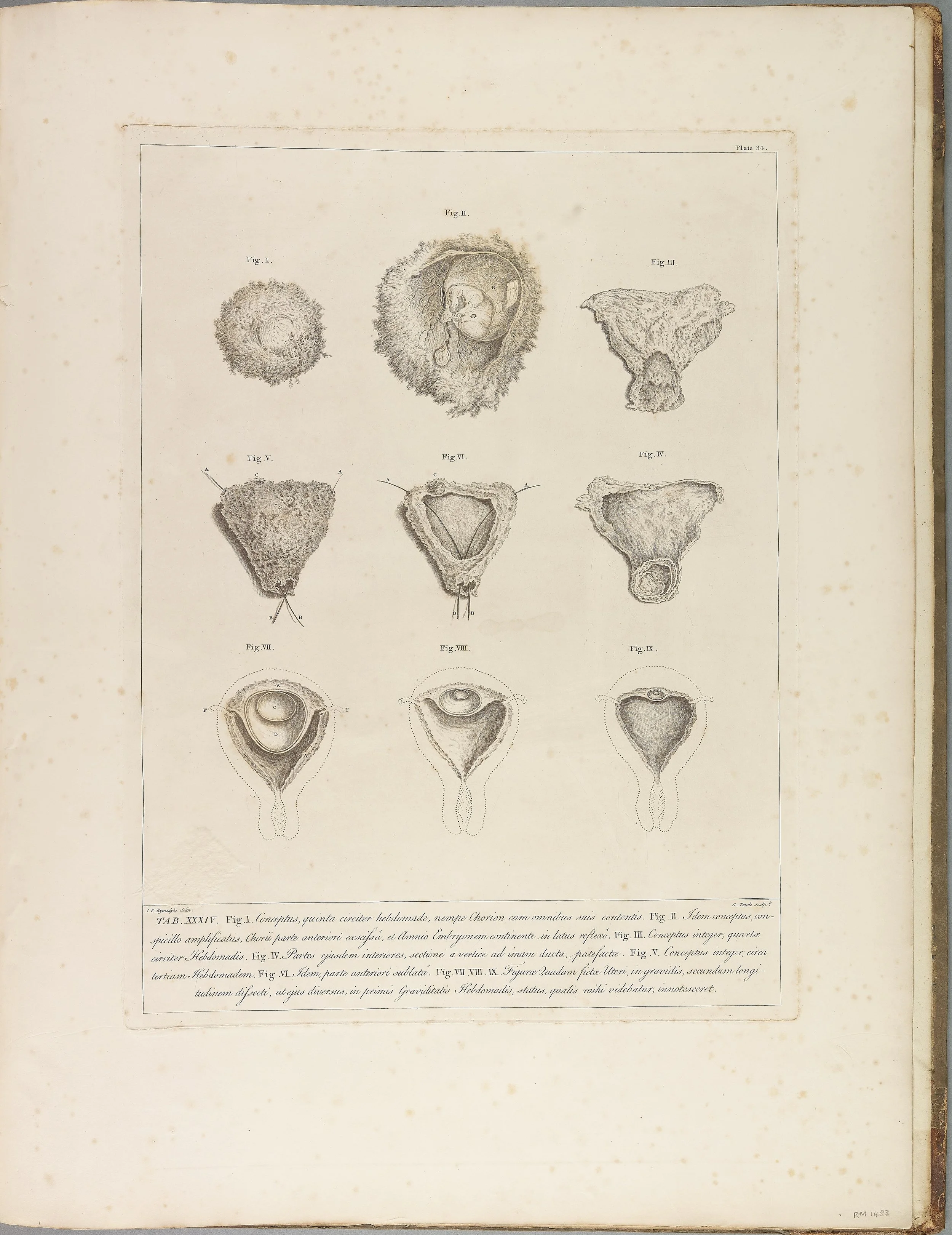 RM1483_038R.jpg