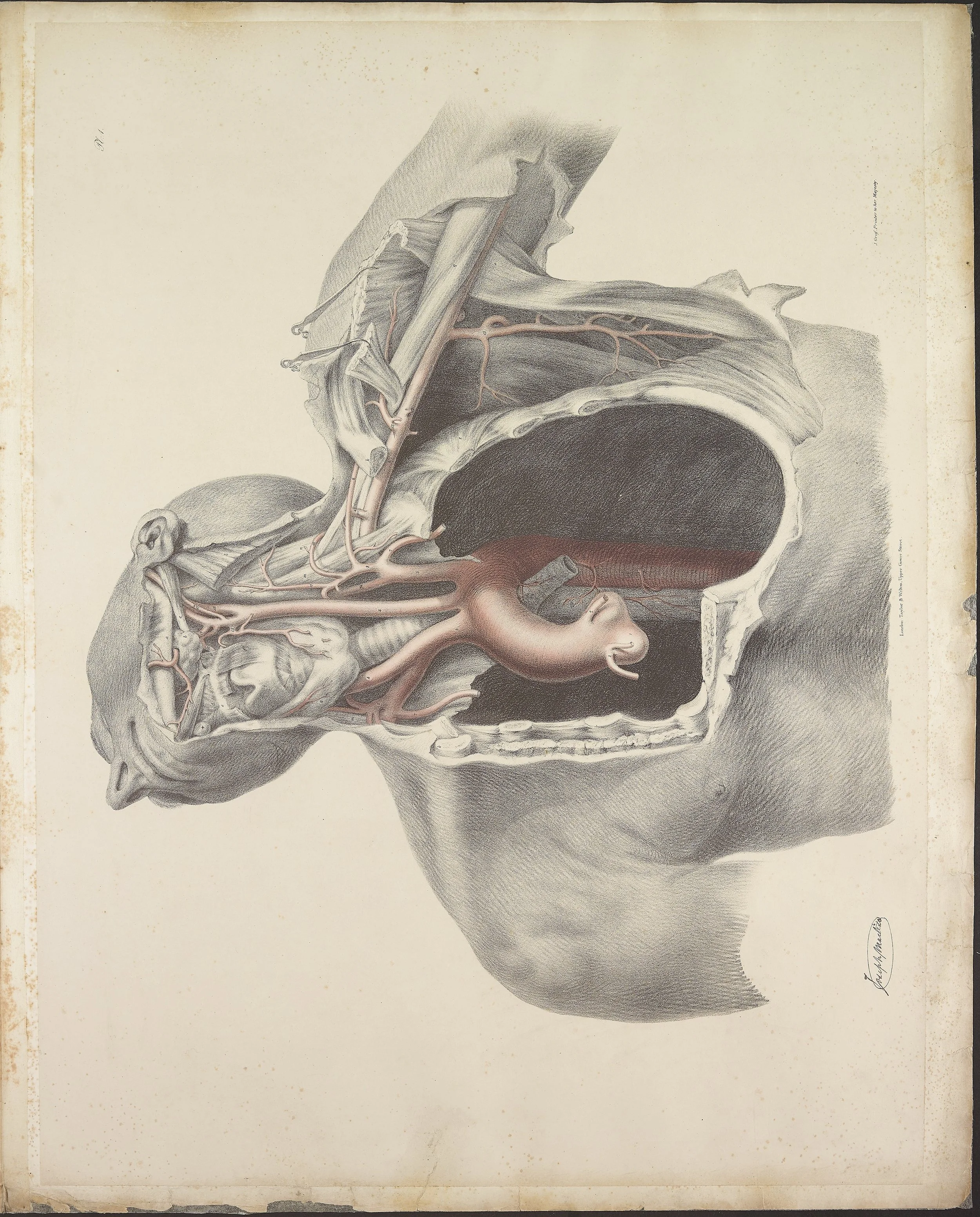 RM1484_05.jpg