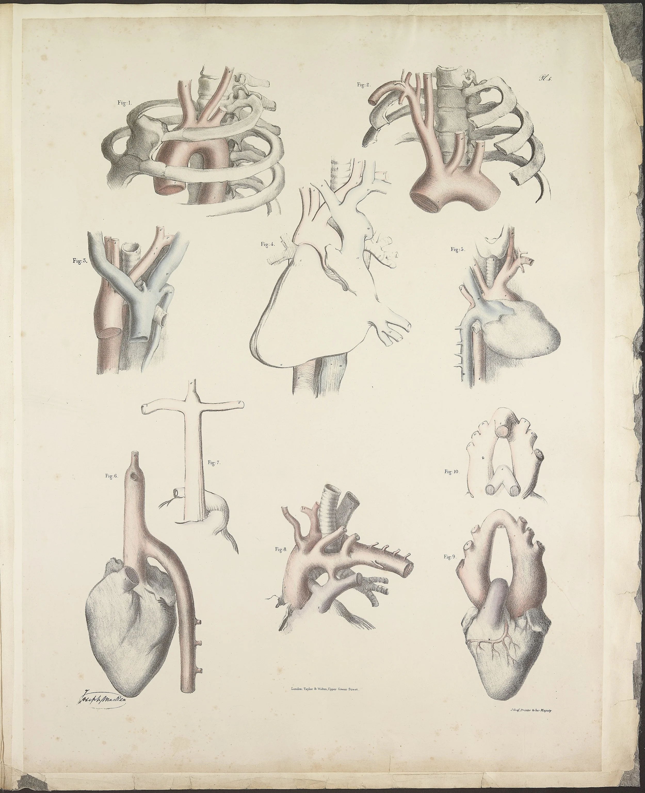 RM1484_09.jpg