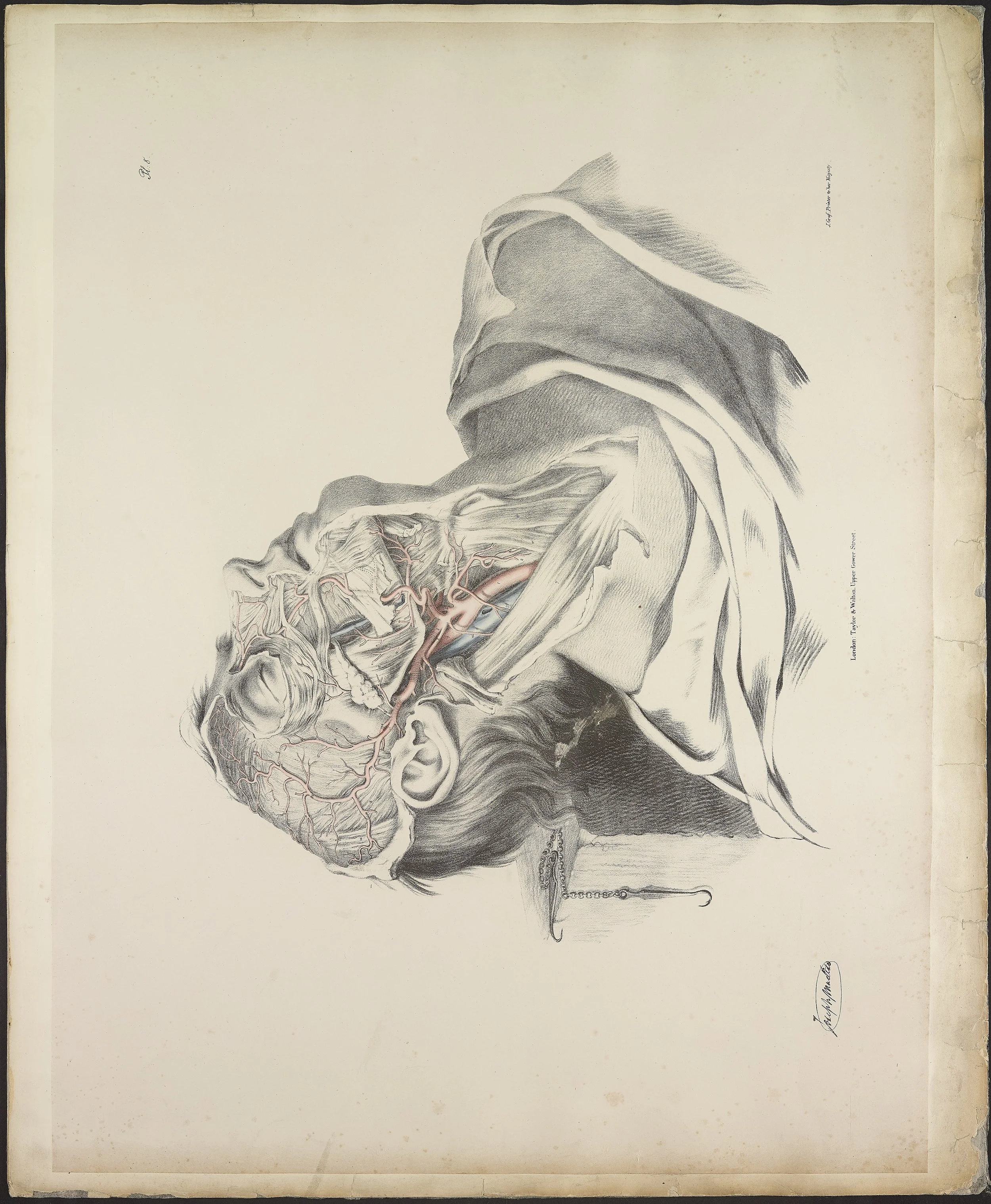 RM1484_12.jpg