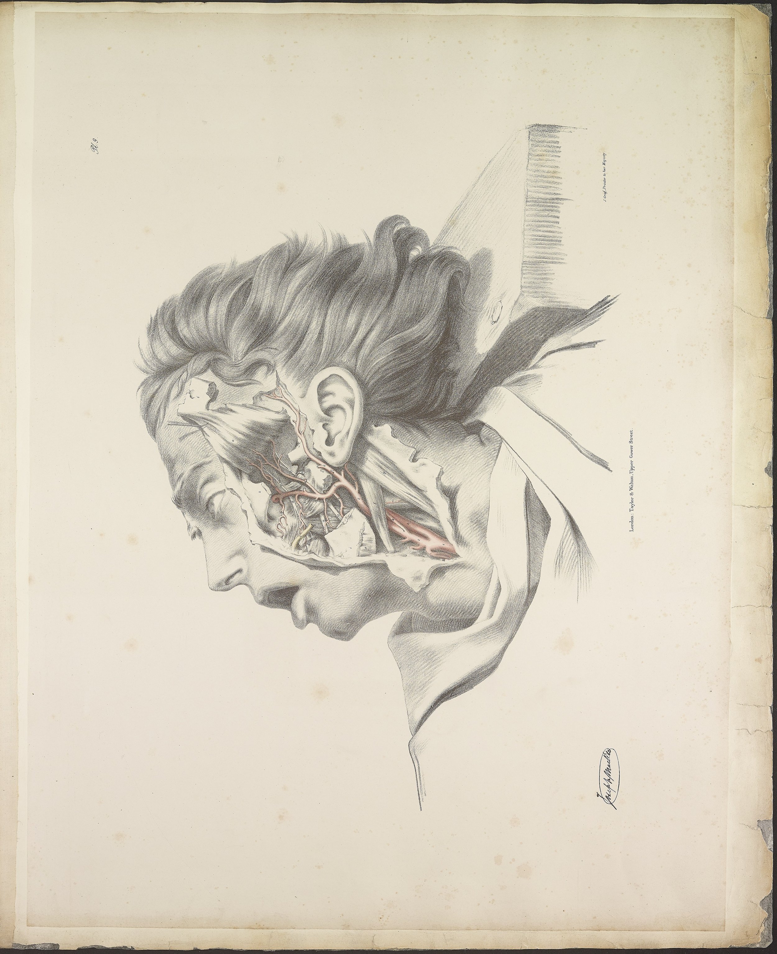 RM1484_13.jpg