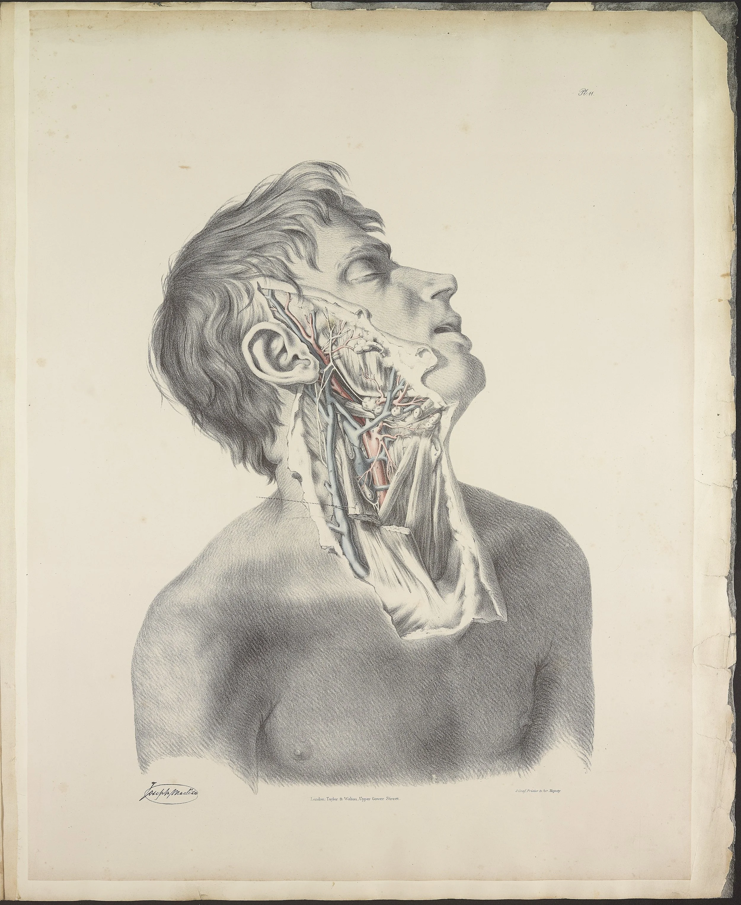 RM1484_15.jpg