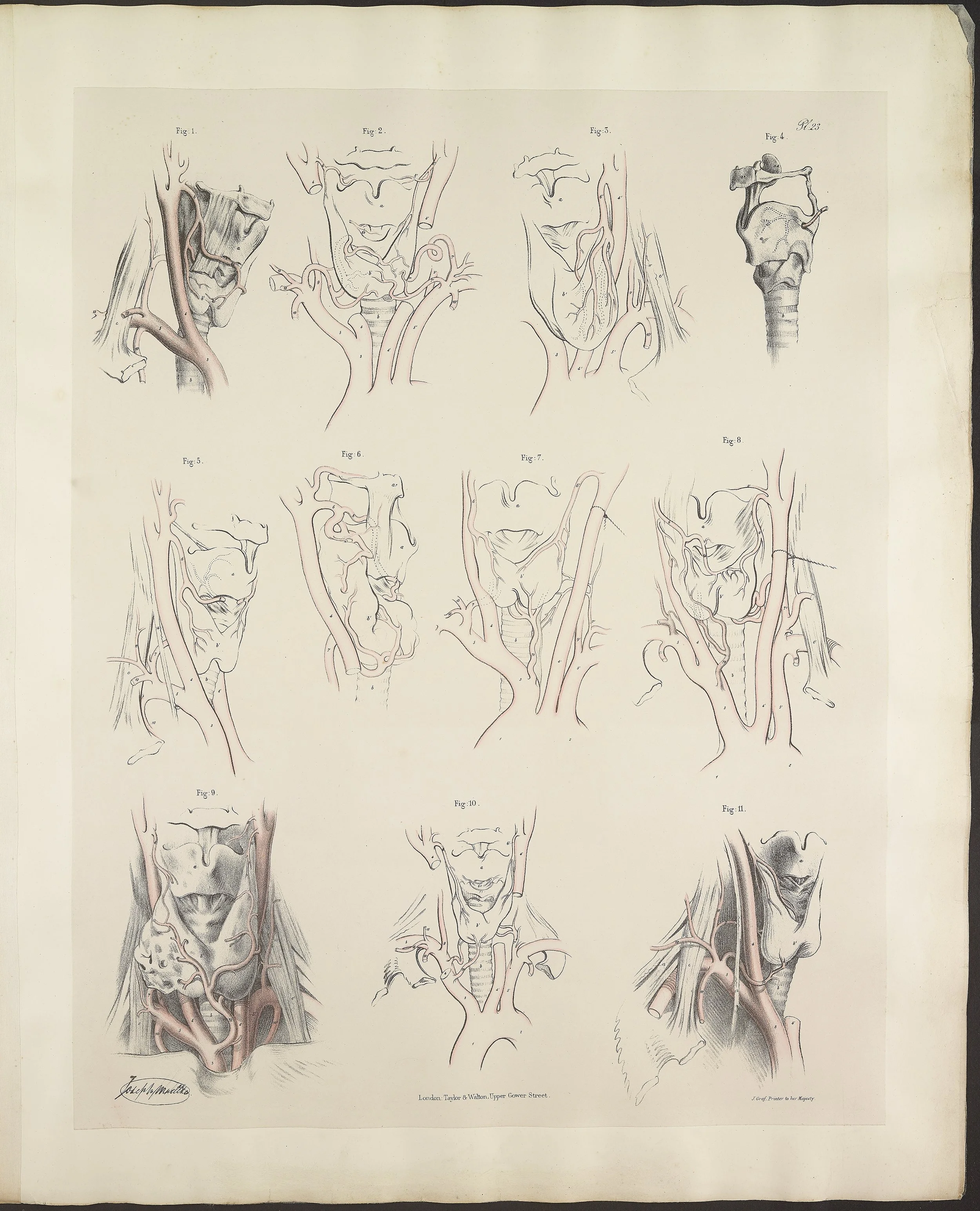 RM1484_27.jpg