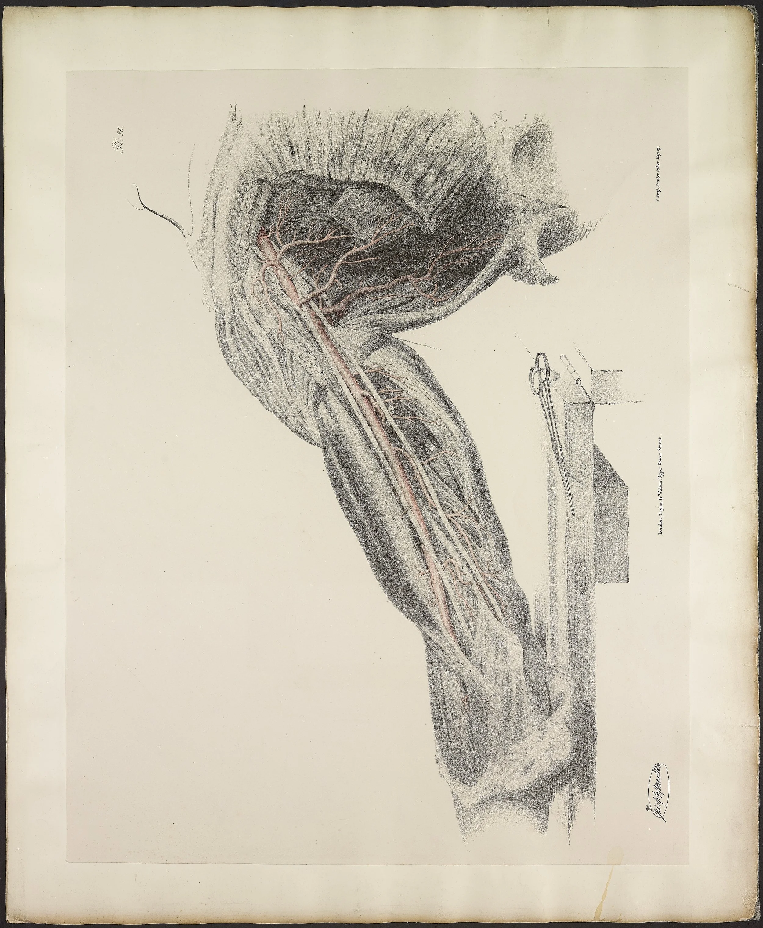 RM1484_30.jpg