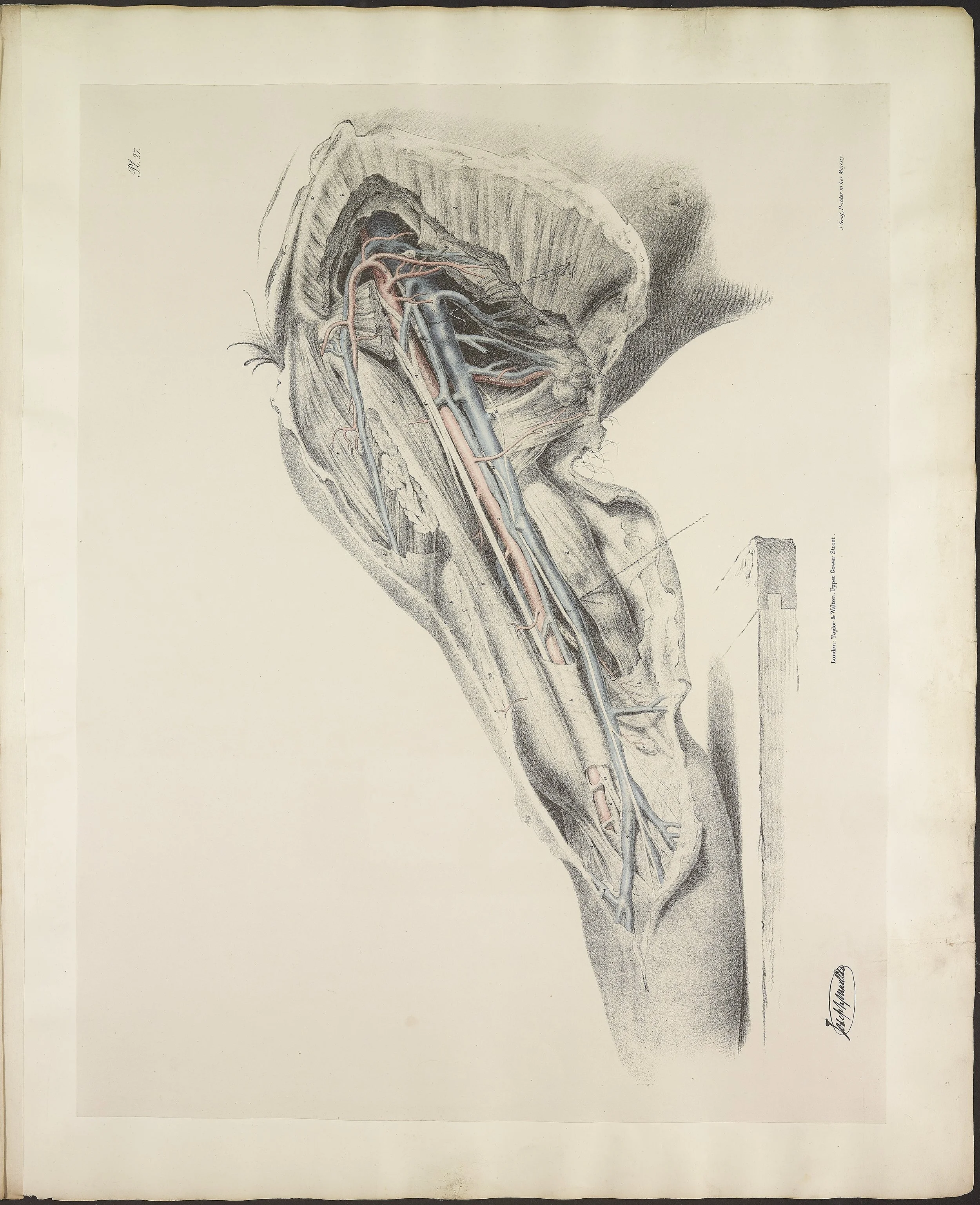 RM1484_31.jpg