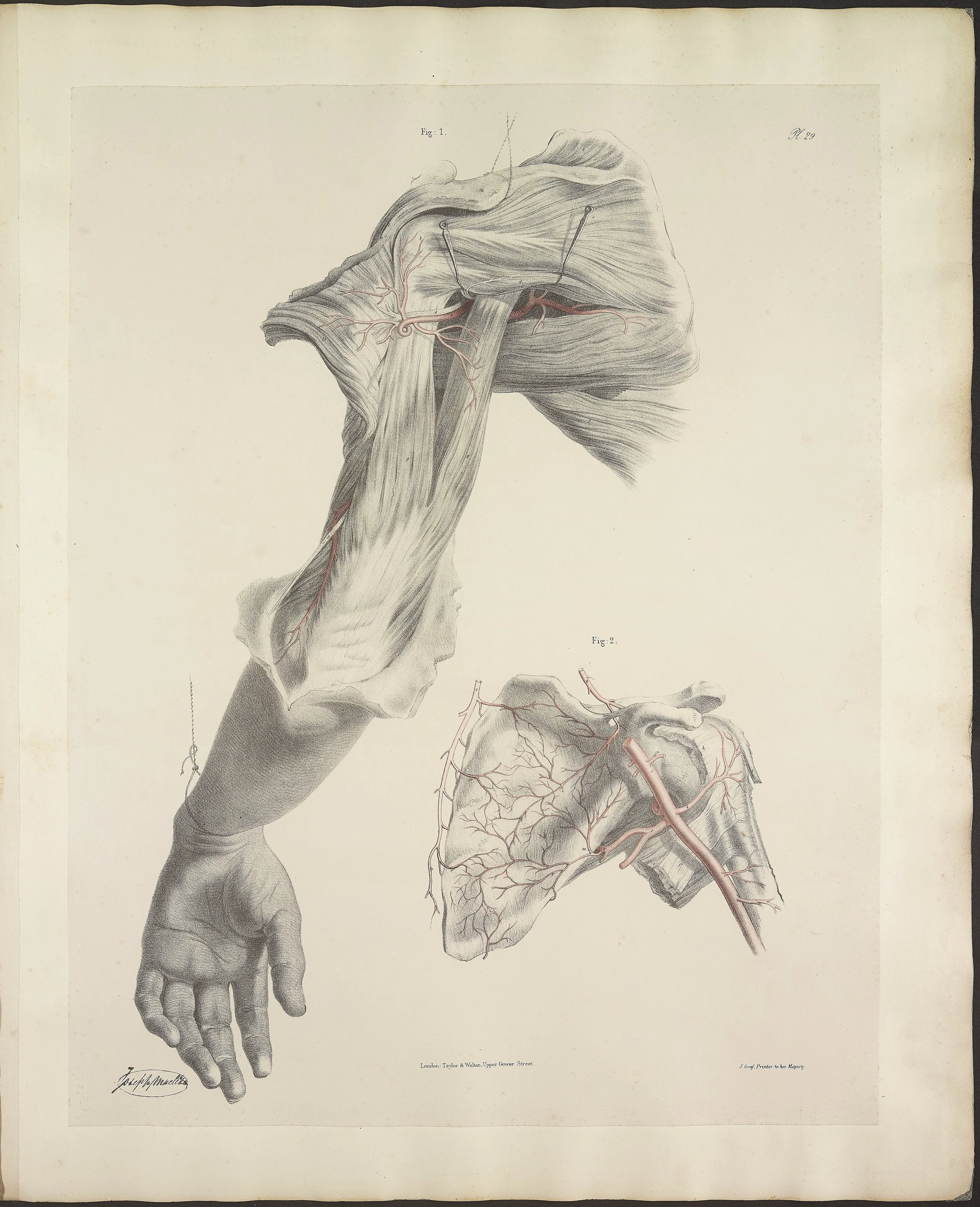 RM1484_33.jpg
