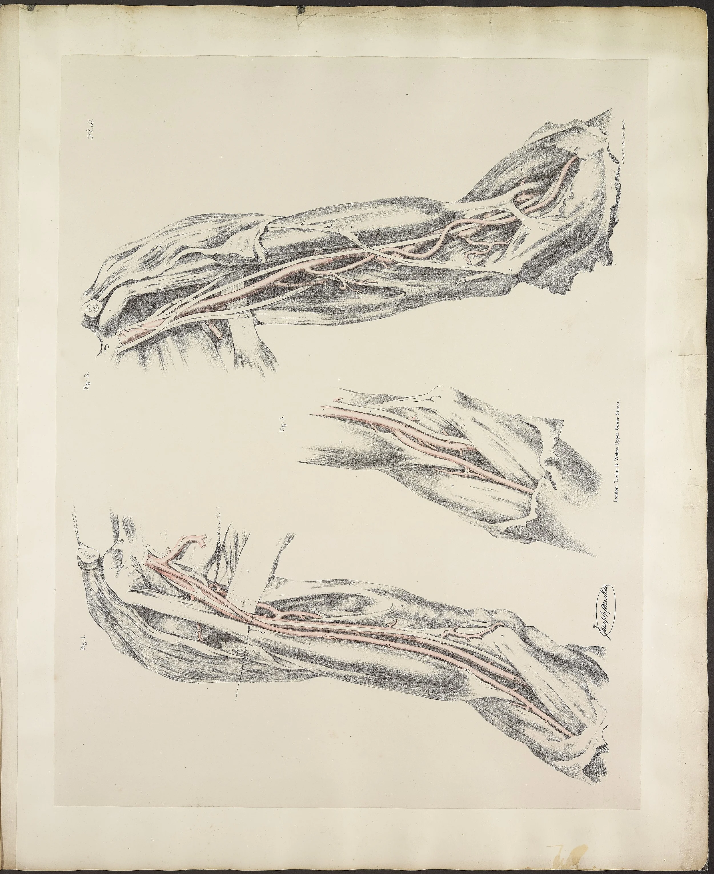 RM1484_35.jpg