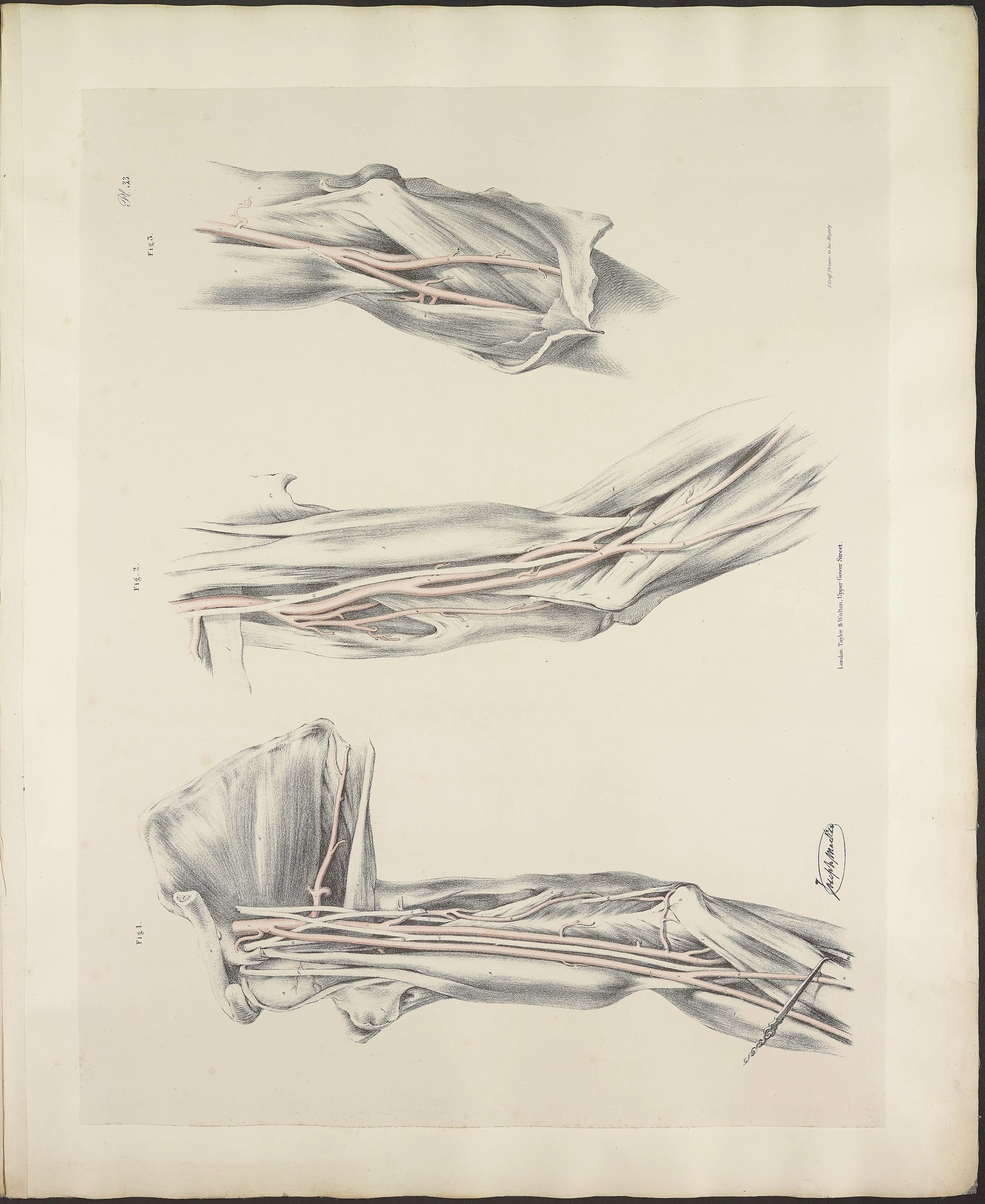RM1484_37.jpg