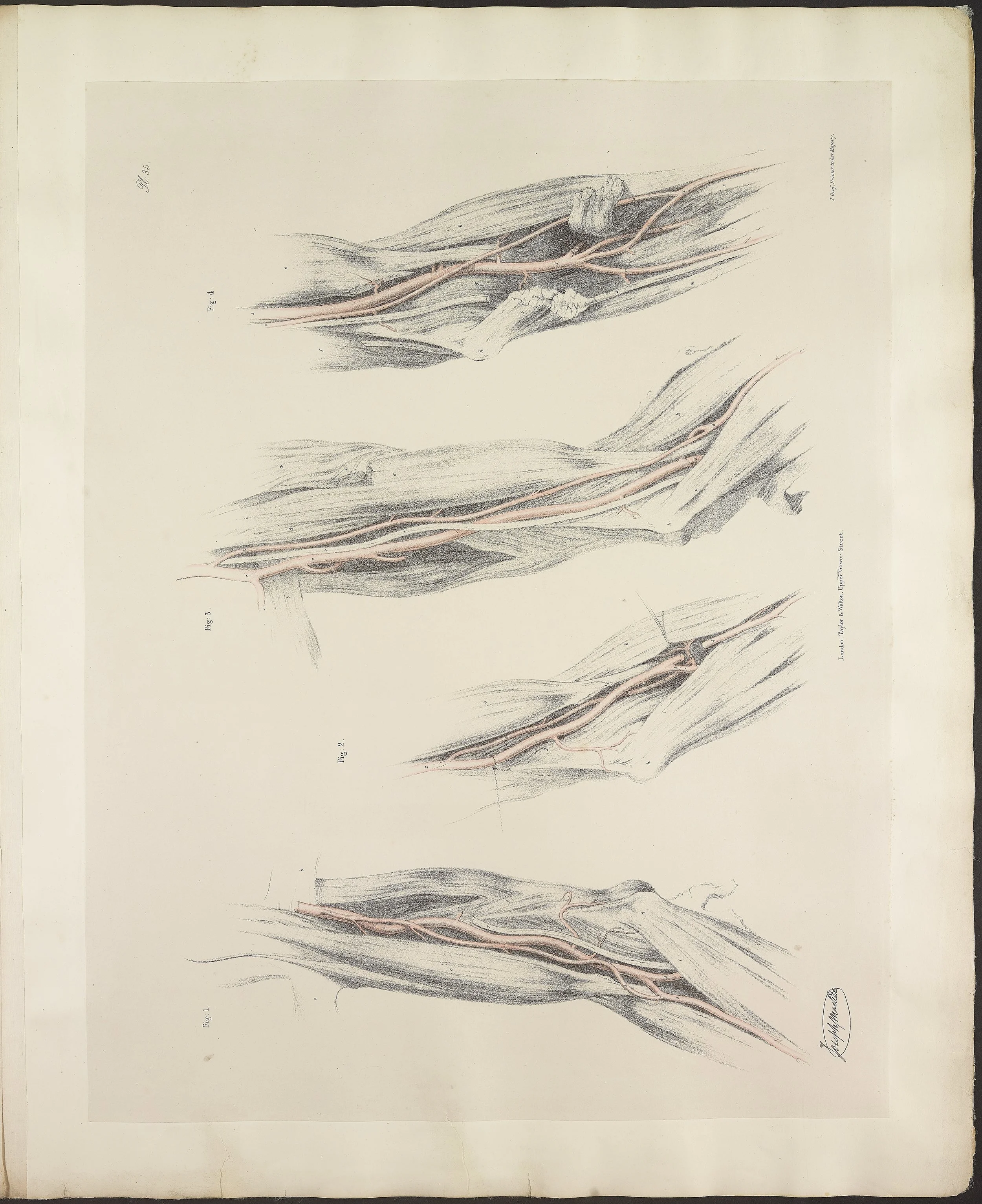 RM1484_39.jpg