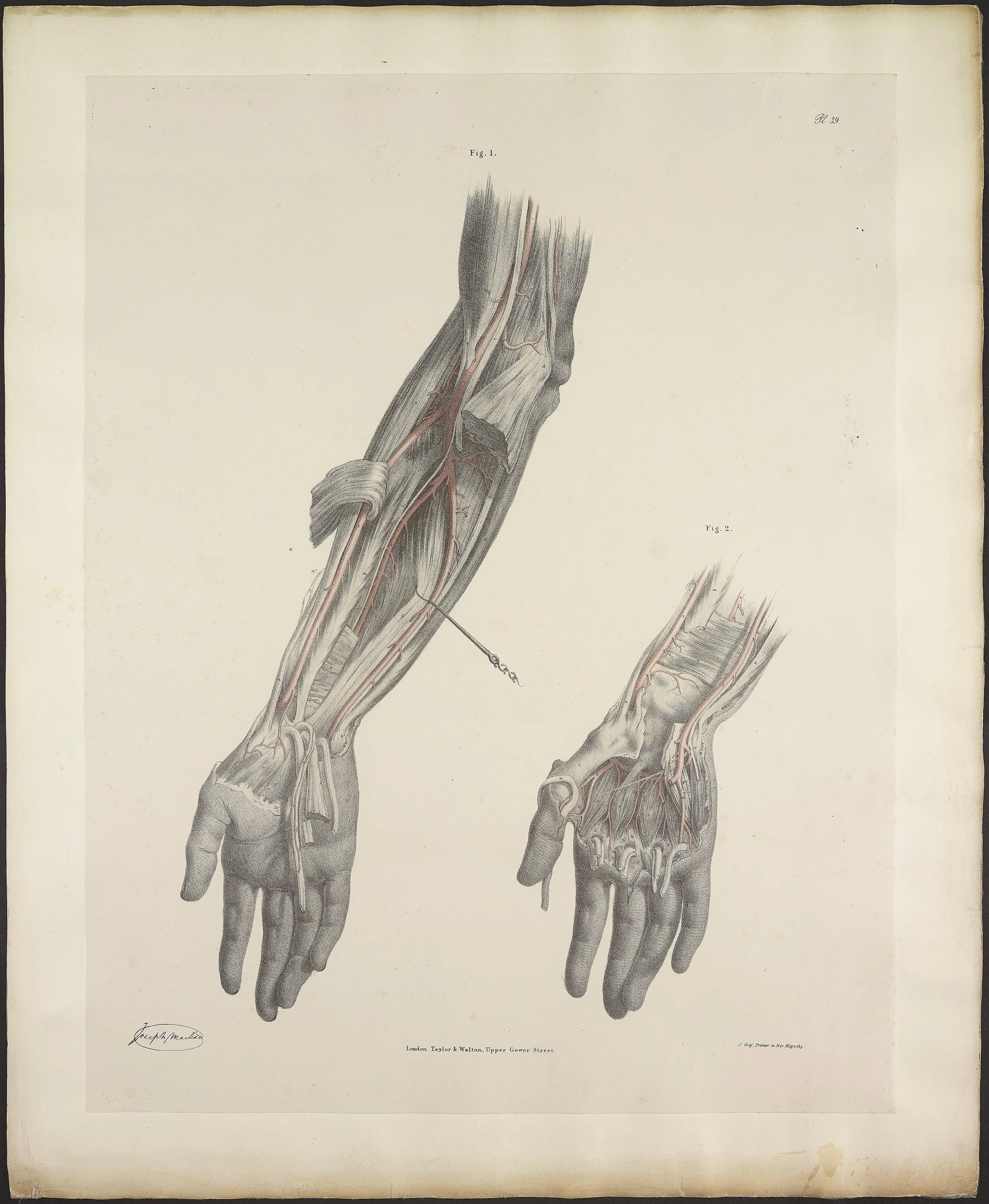 RM1484_43.jpg
