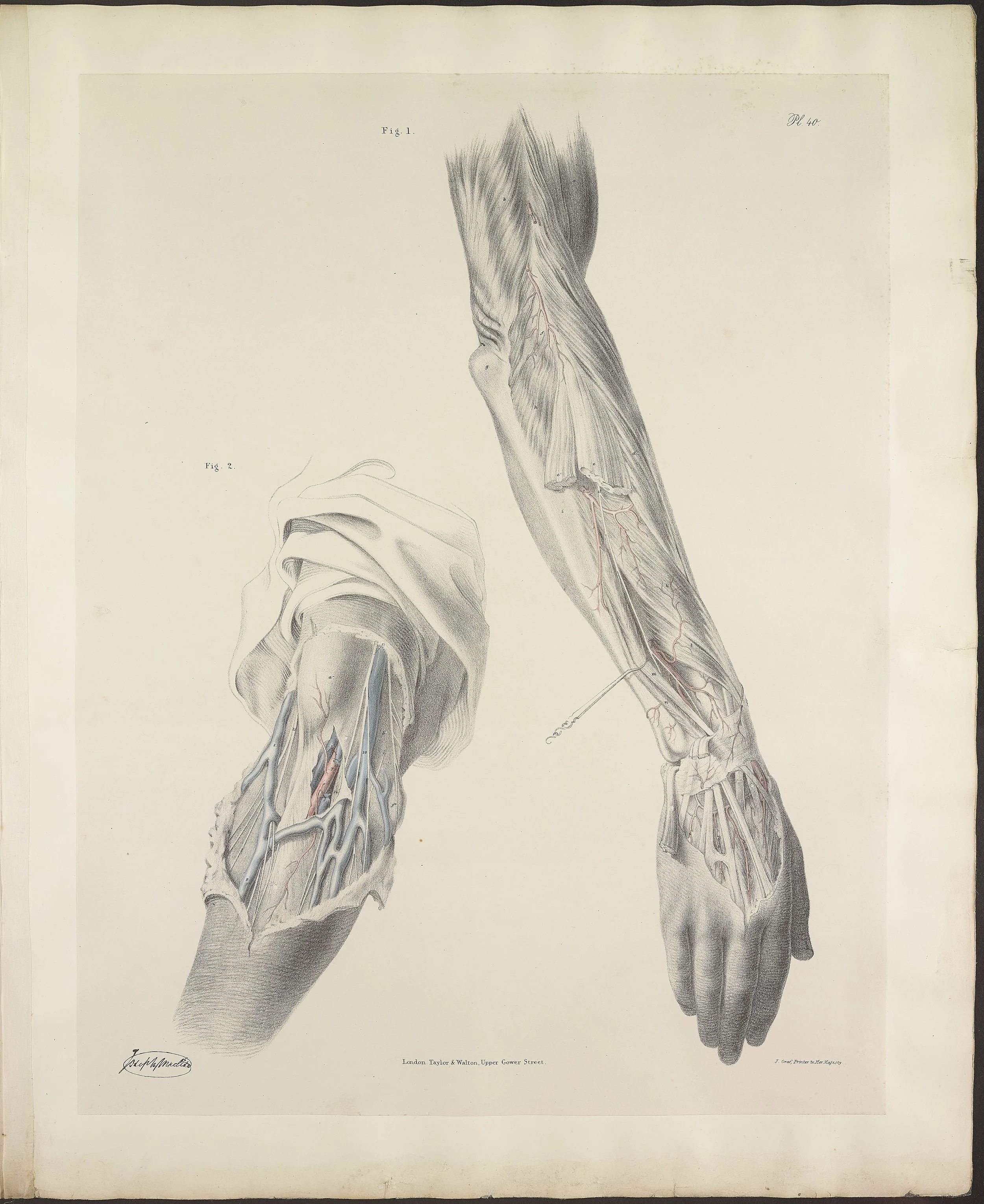 RM1484_44.jpg