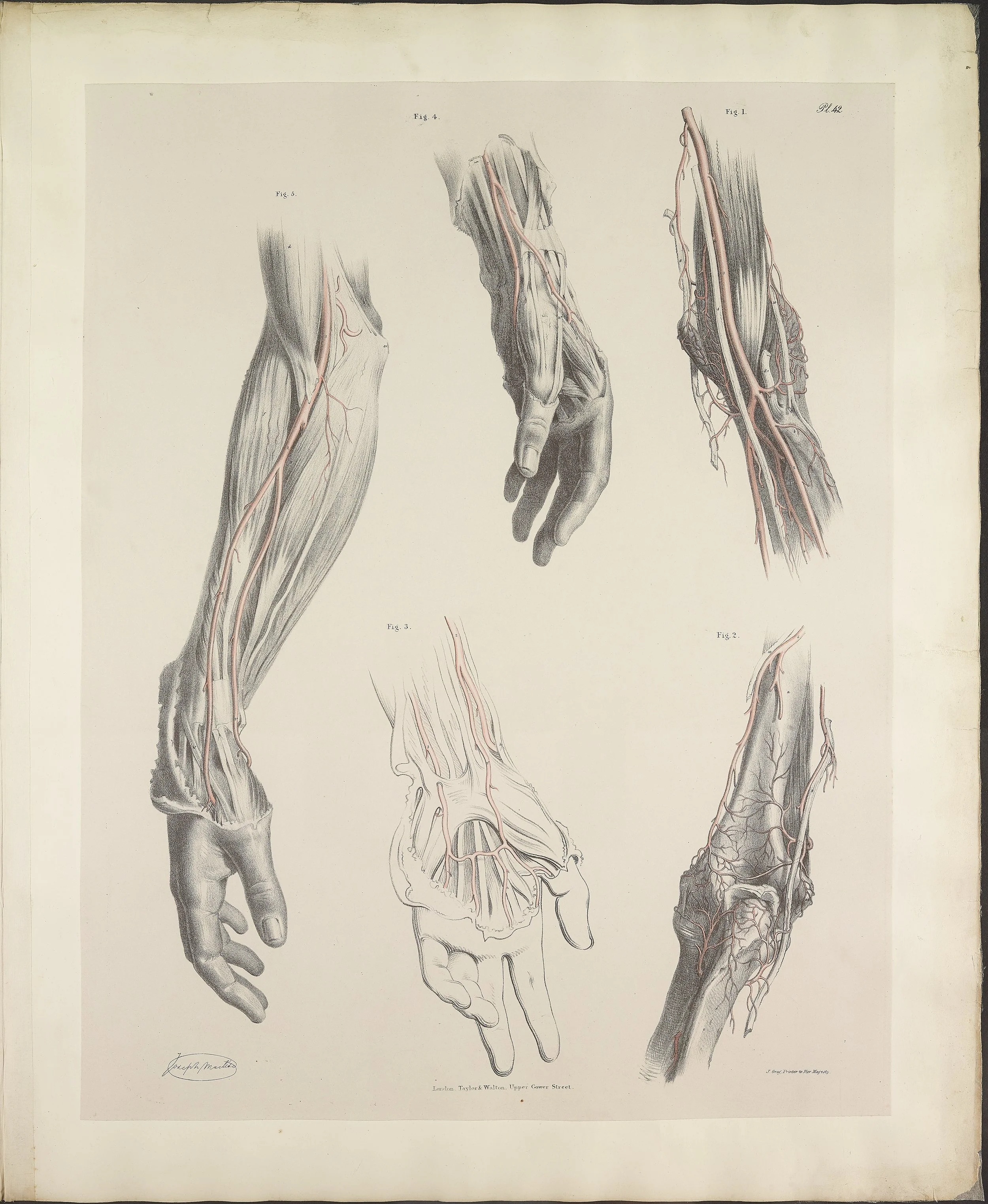 RM1484_46.jpg
