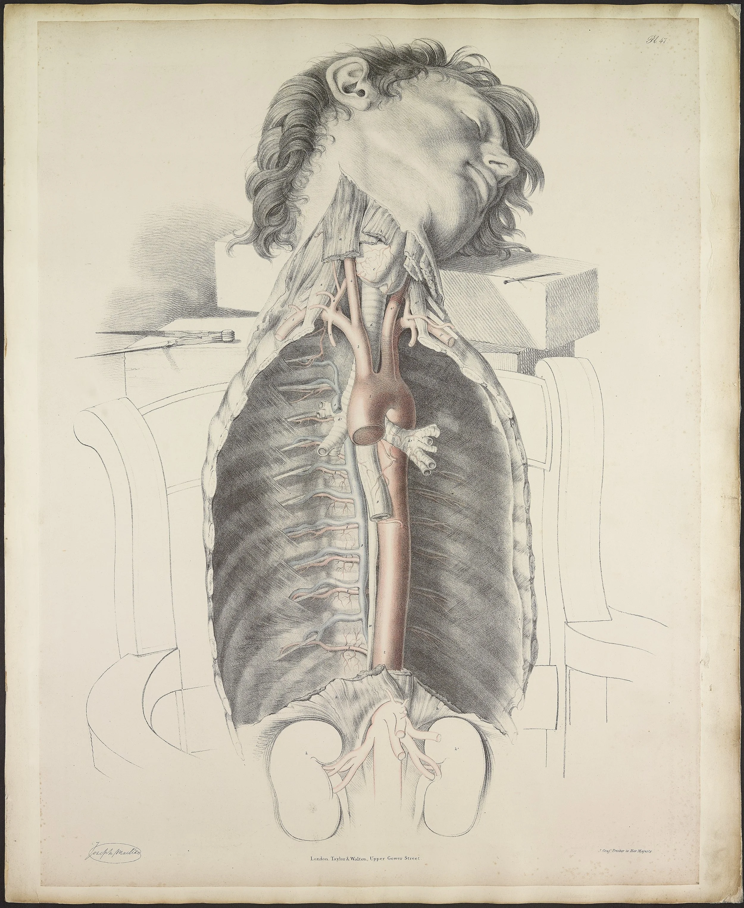 RM1484_51.jpg