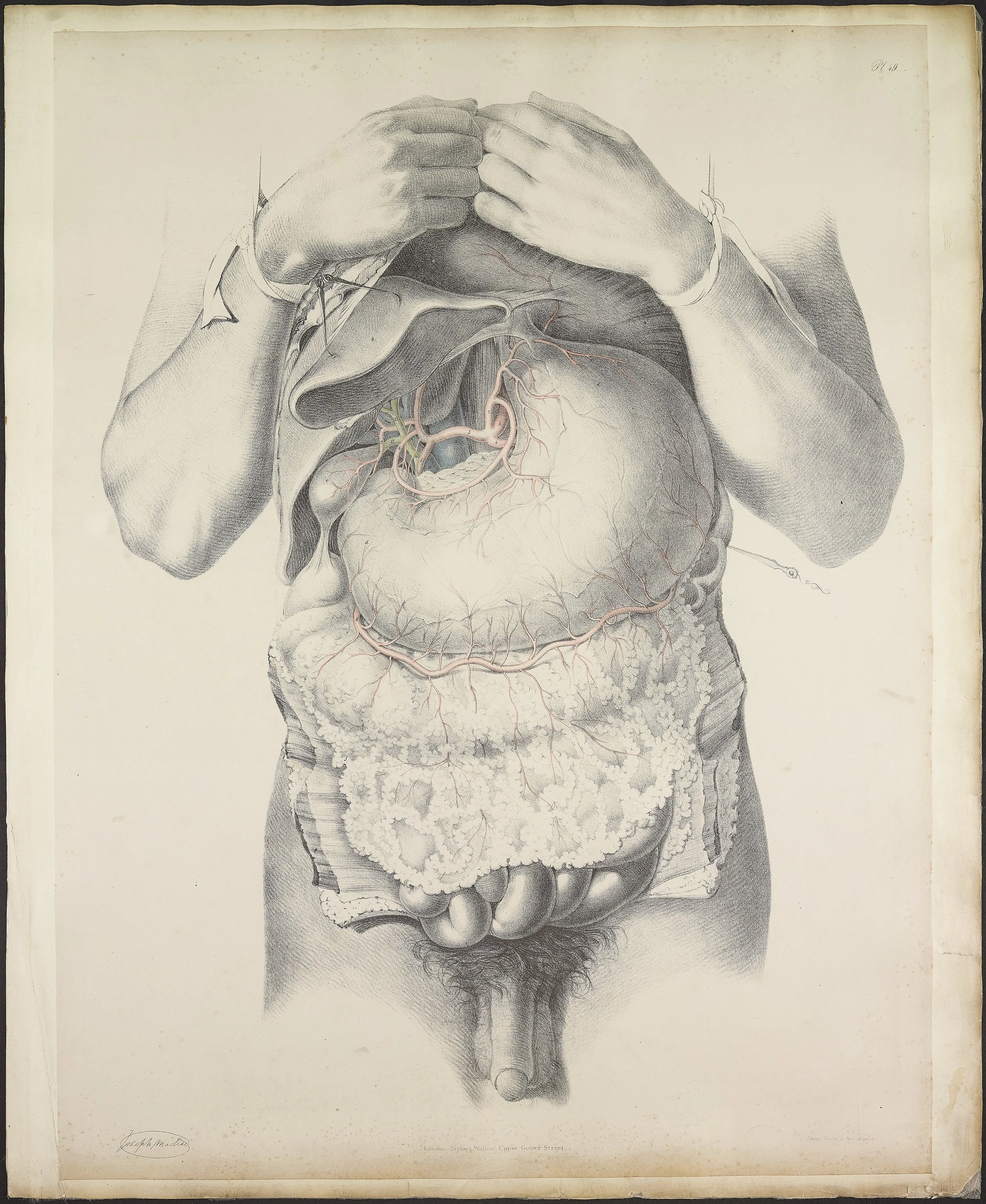 RM1484_53.jpg