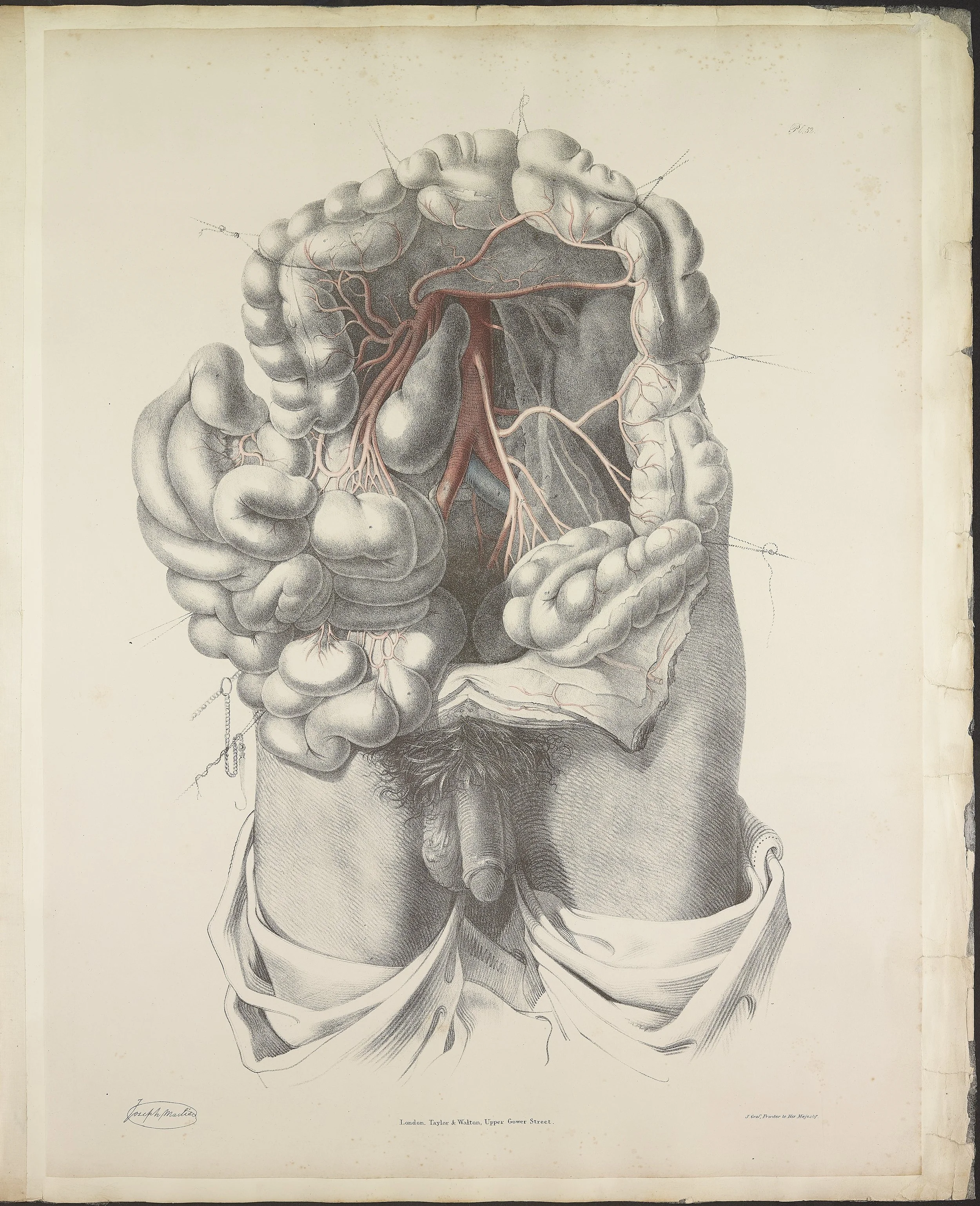 RM1484_56.jpg