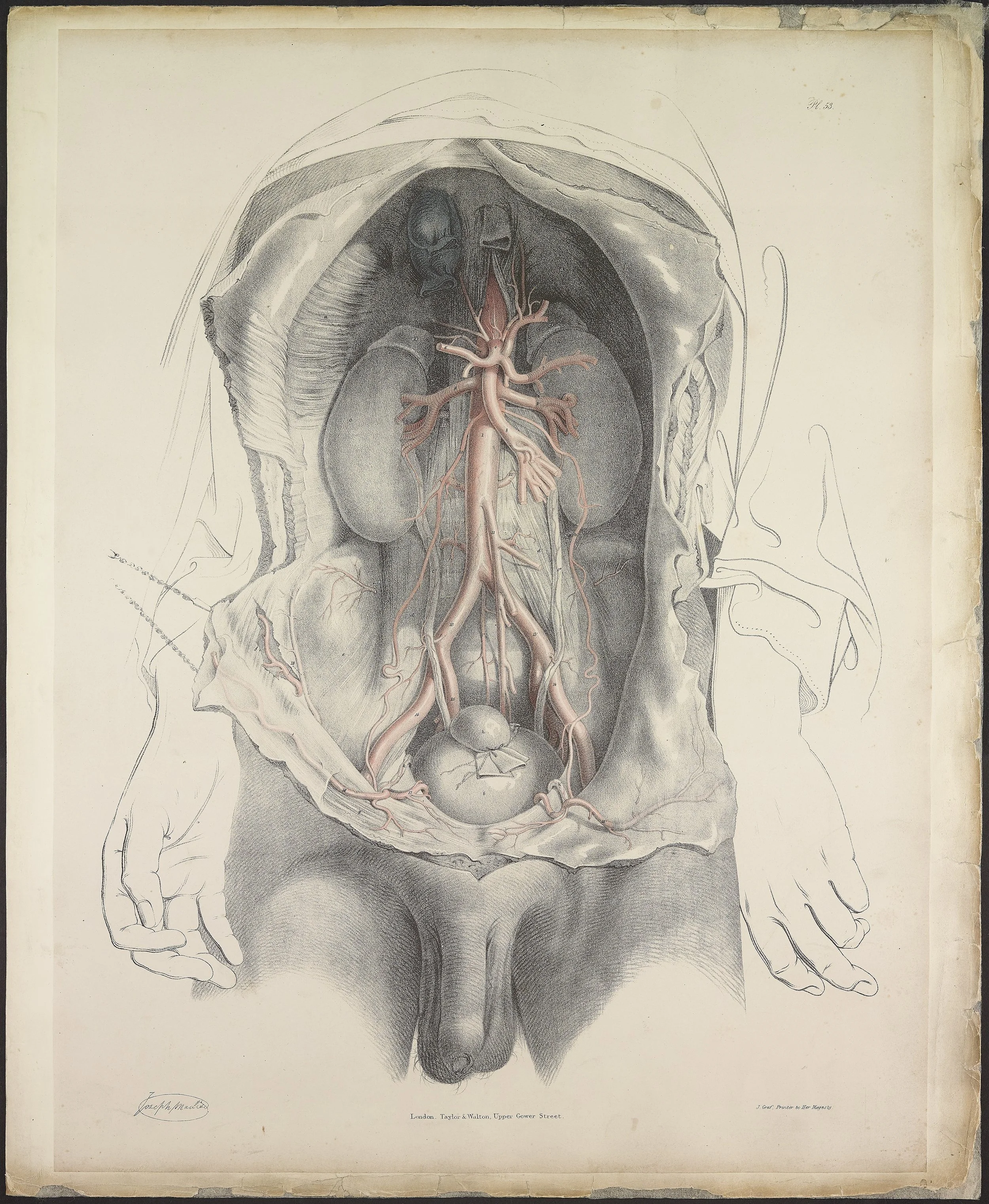 RM1484_57.jpg