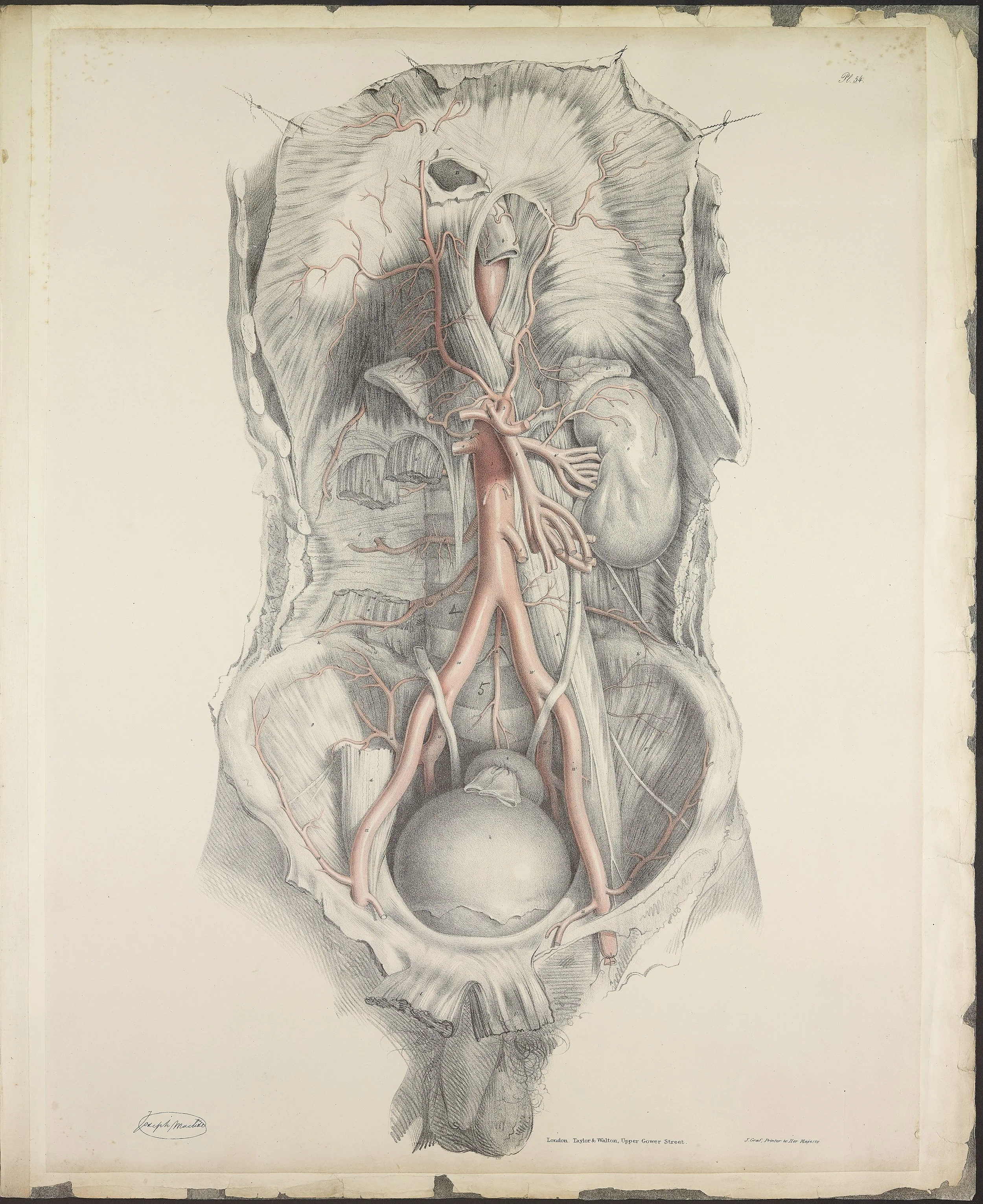 RM1484_58.jpg