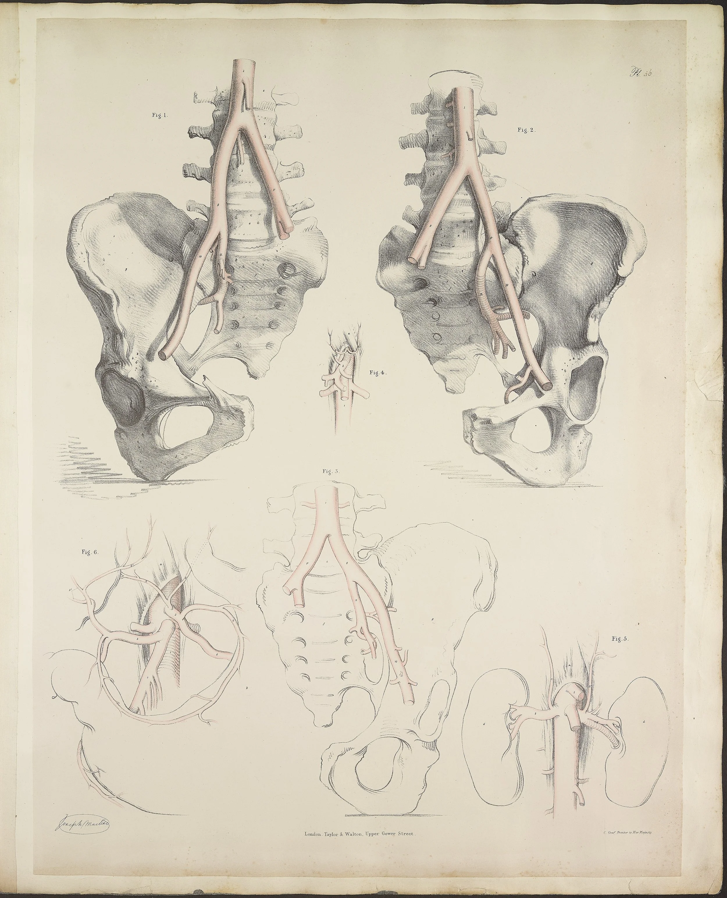 RM1484_60.jpg