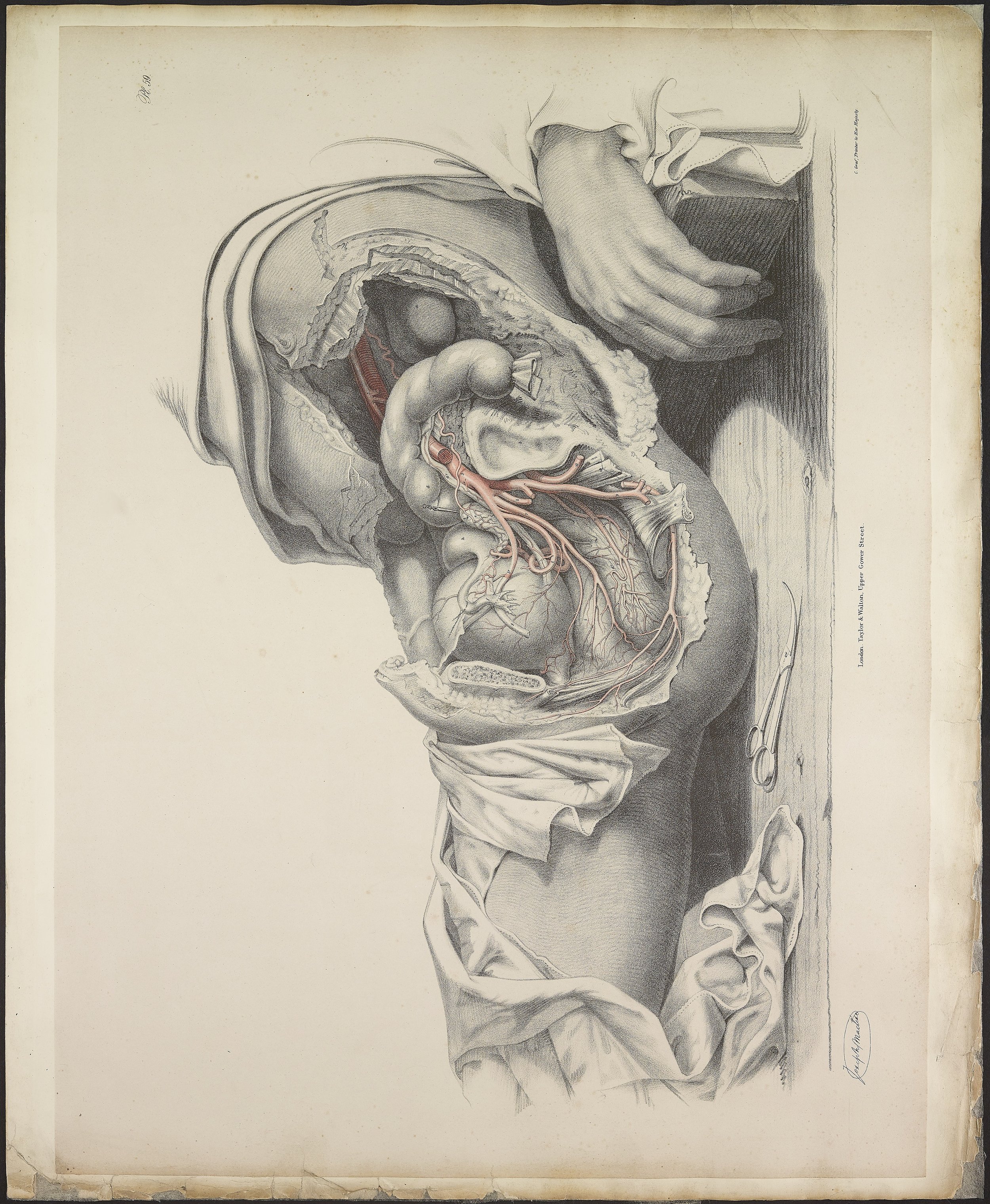RM1484_63.jpg
