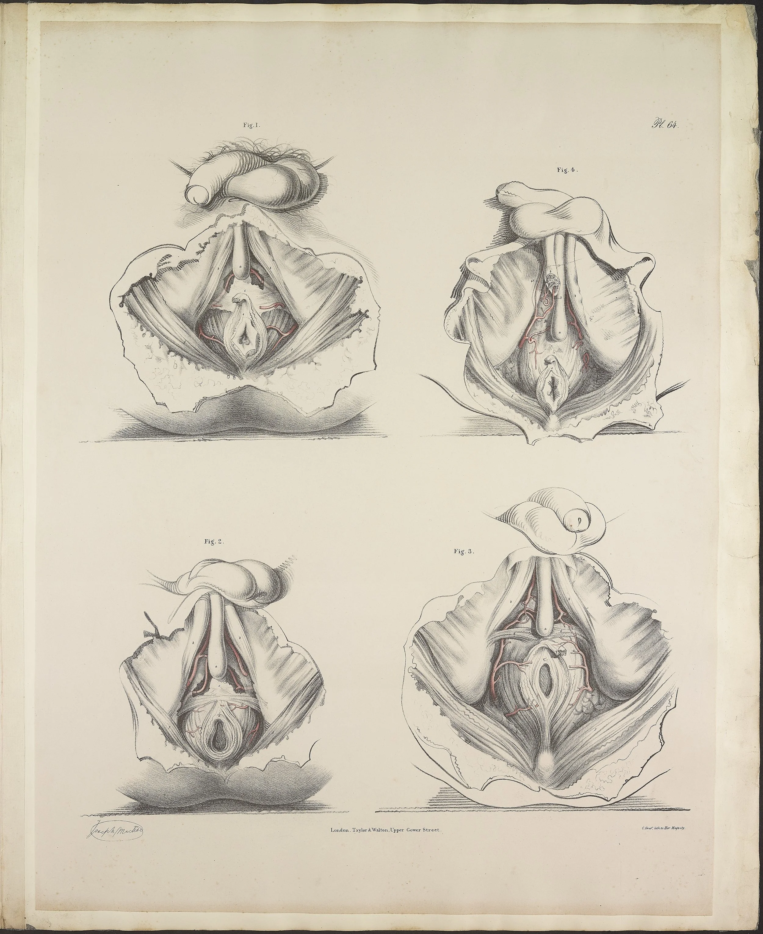 RM1484_68.jpg