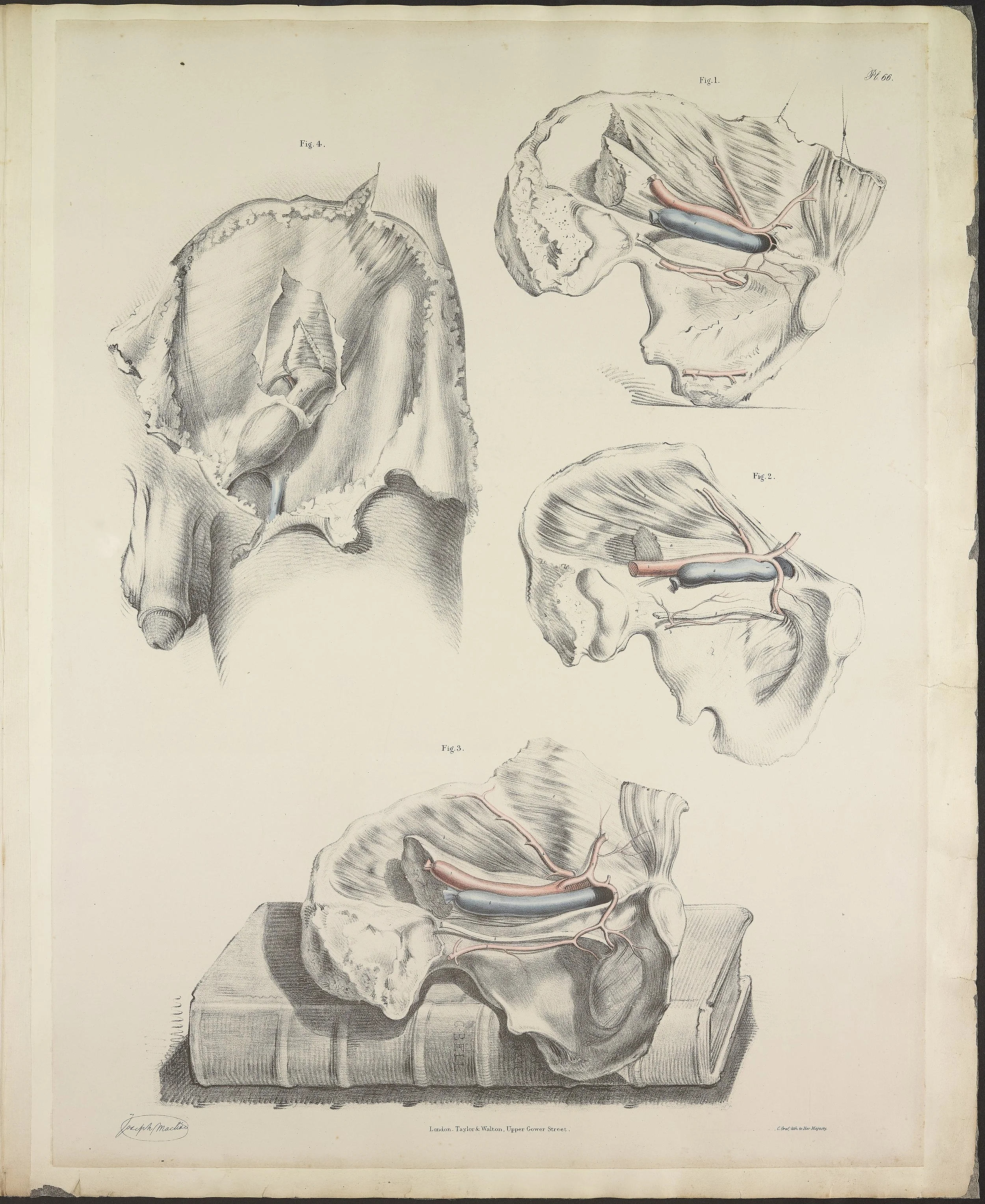 RM1484_70.jpg