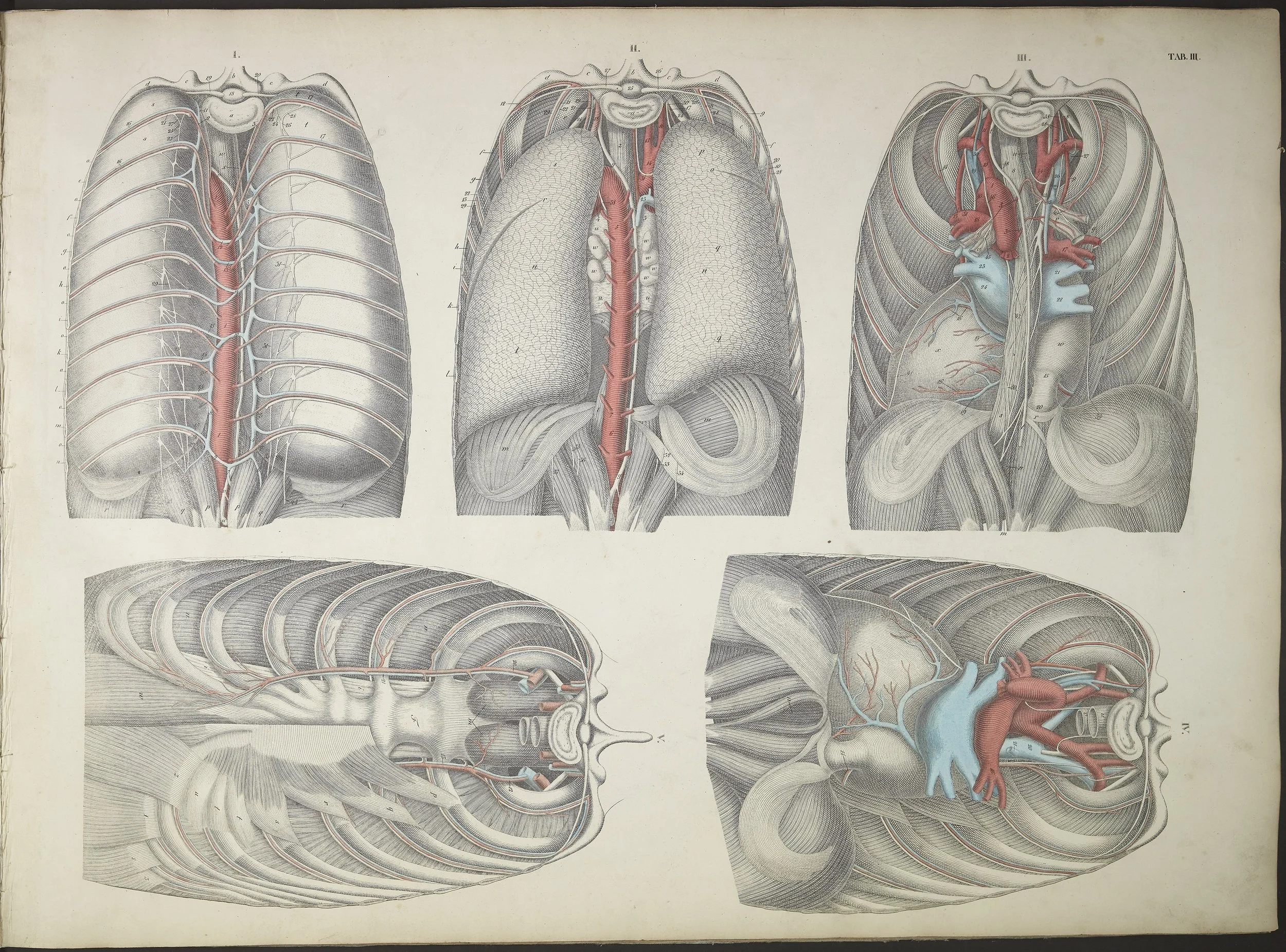 AA_35.jpg