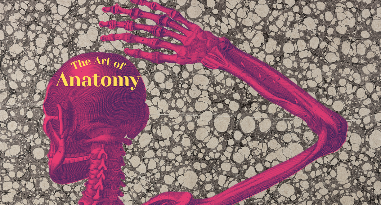 Anatomical Volumes — Worcester Medical Museums