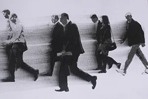 AP16105.jpg