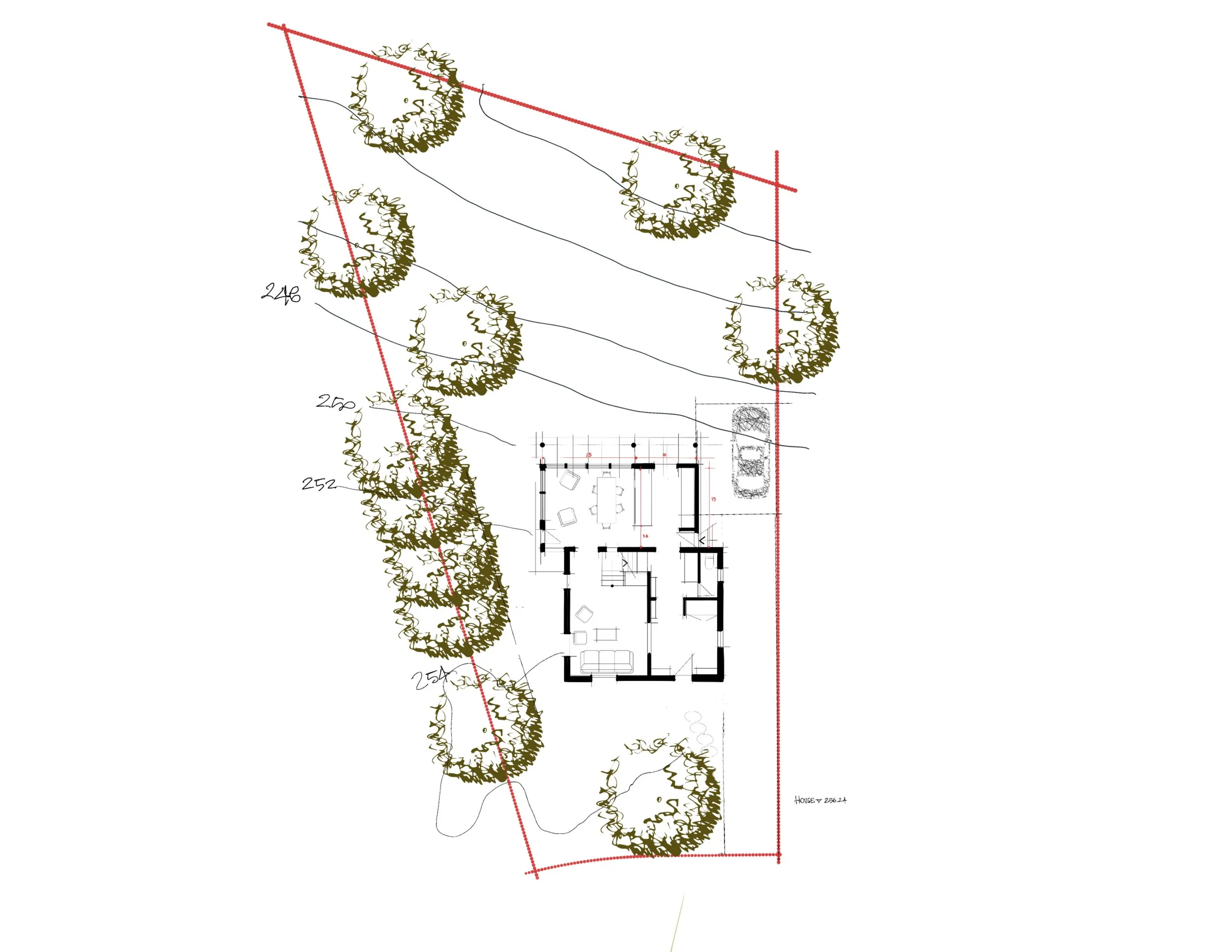 firtst floor 1 w lot.jpg