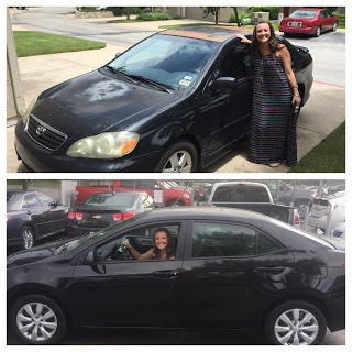 Top: Lola Bloomindale Bottom: Lilly Rostocar