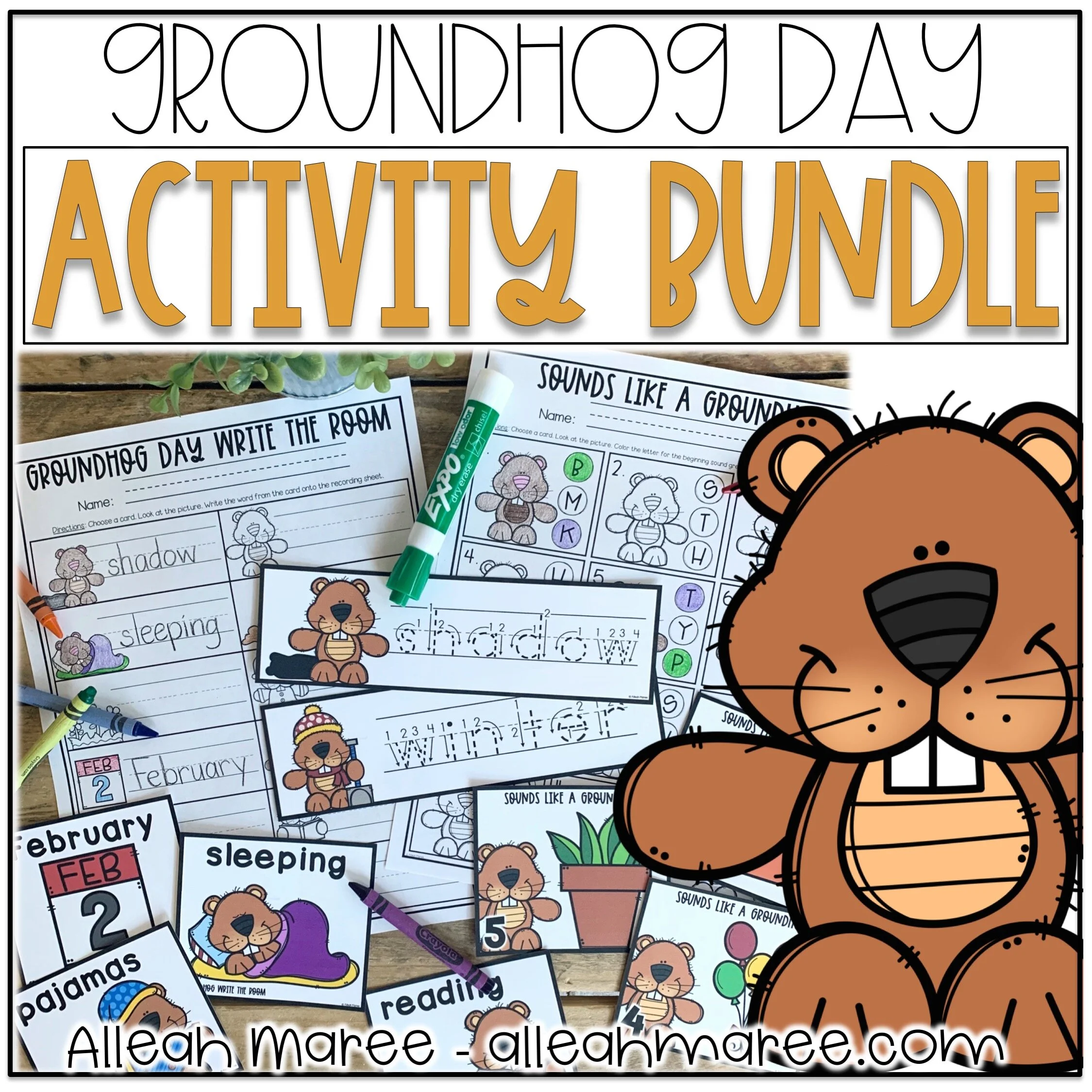 Groundhog Day Activities Bundle - Worksheets, Task Cards, Sensory Bin