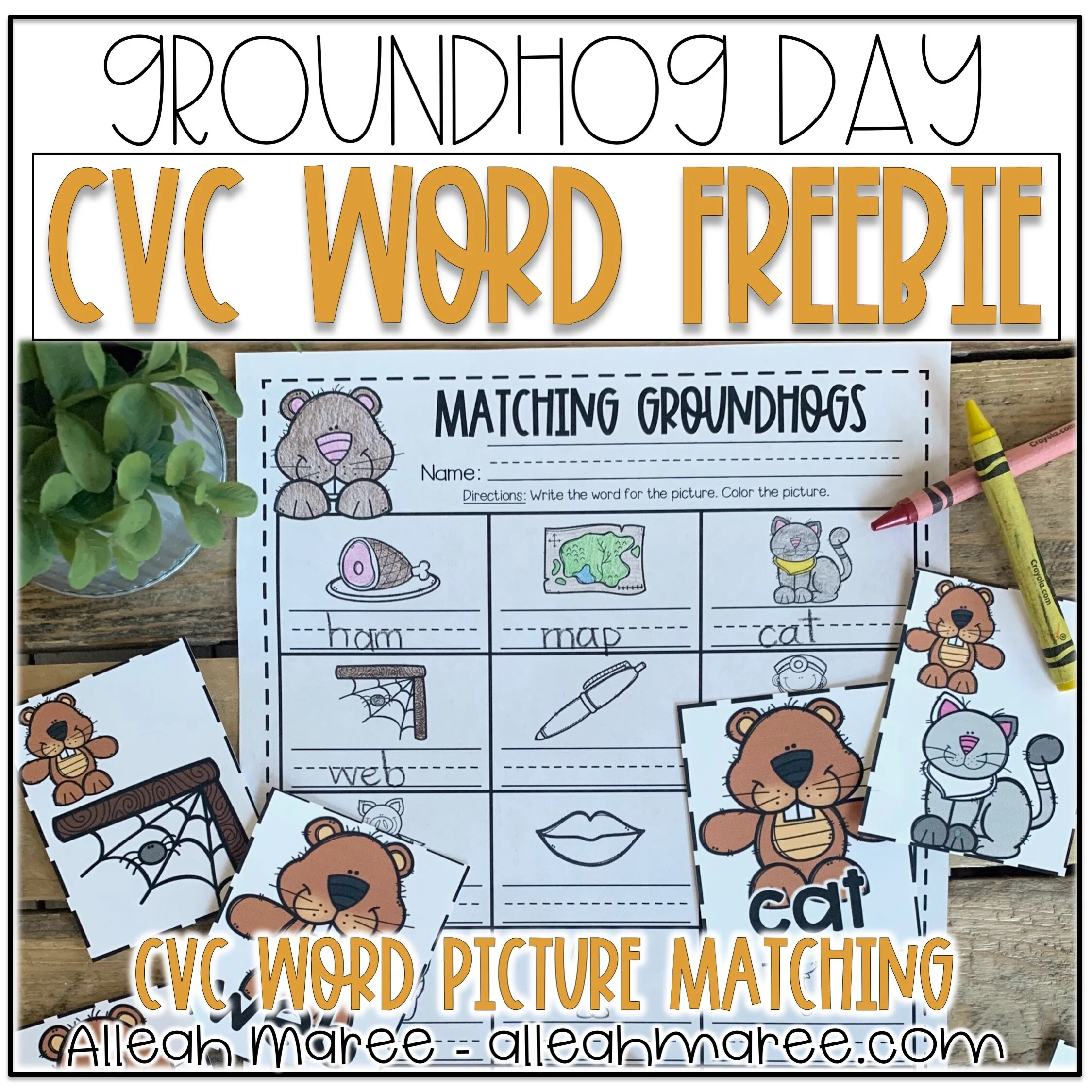Groundhog Day CVC Word Matching Freebie