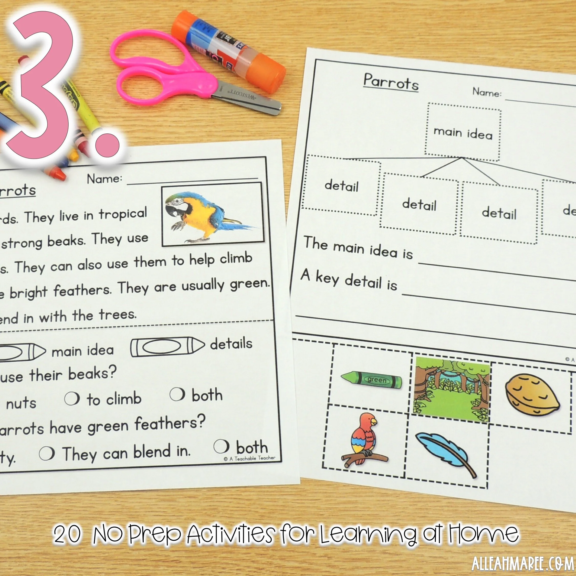 Main Idea Reading Passages