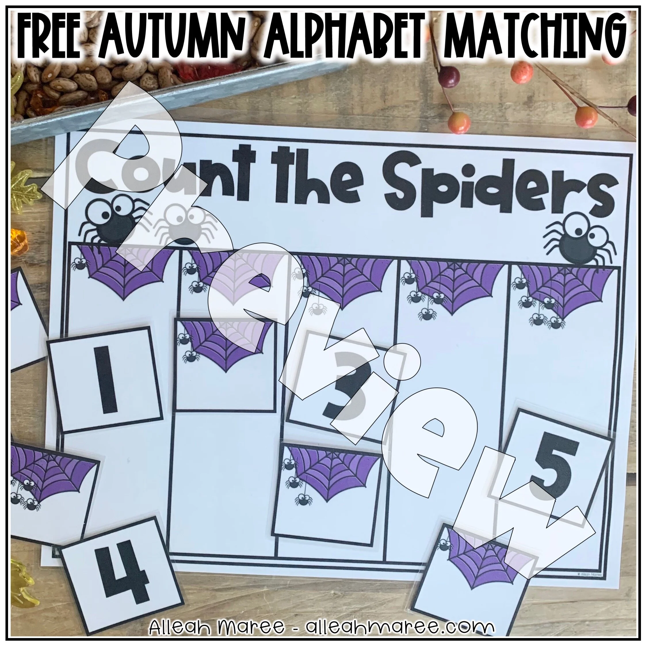 spiderfree2.jpg