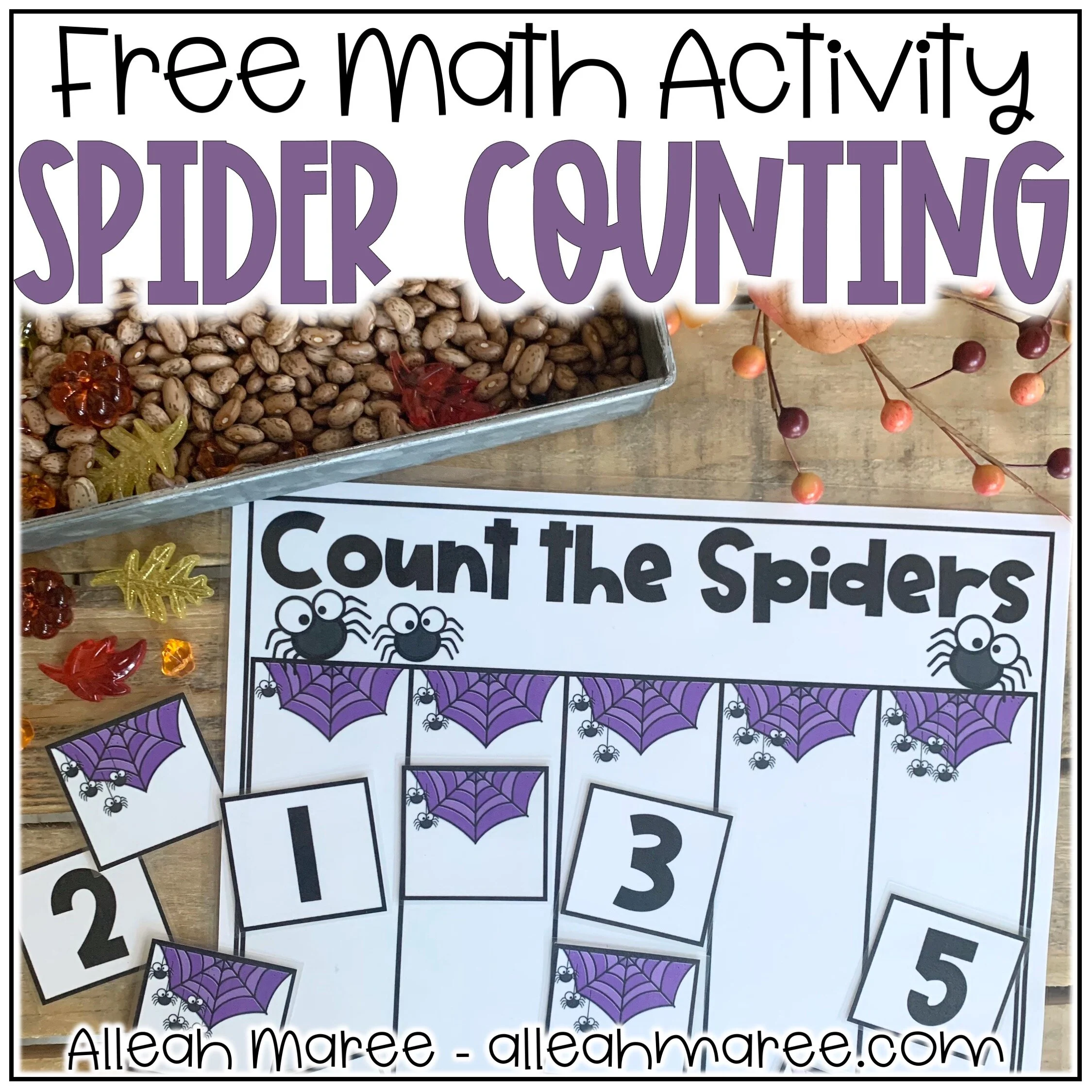 spiderfree1.jpg