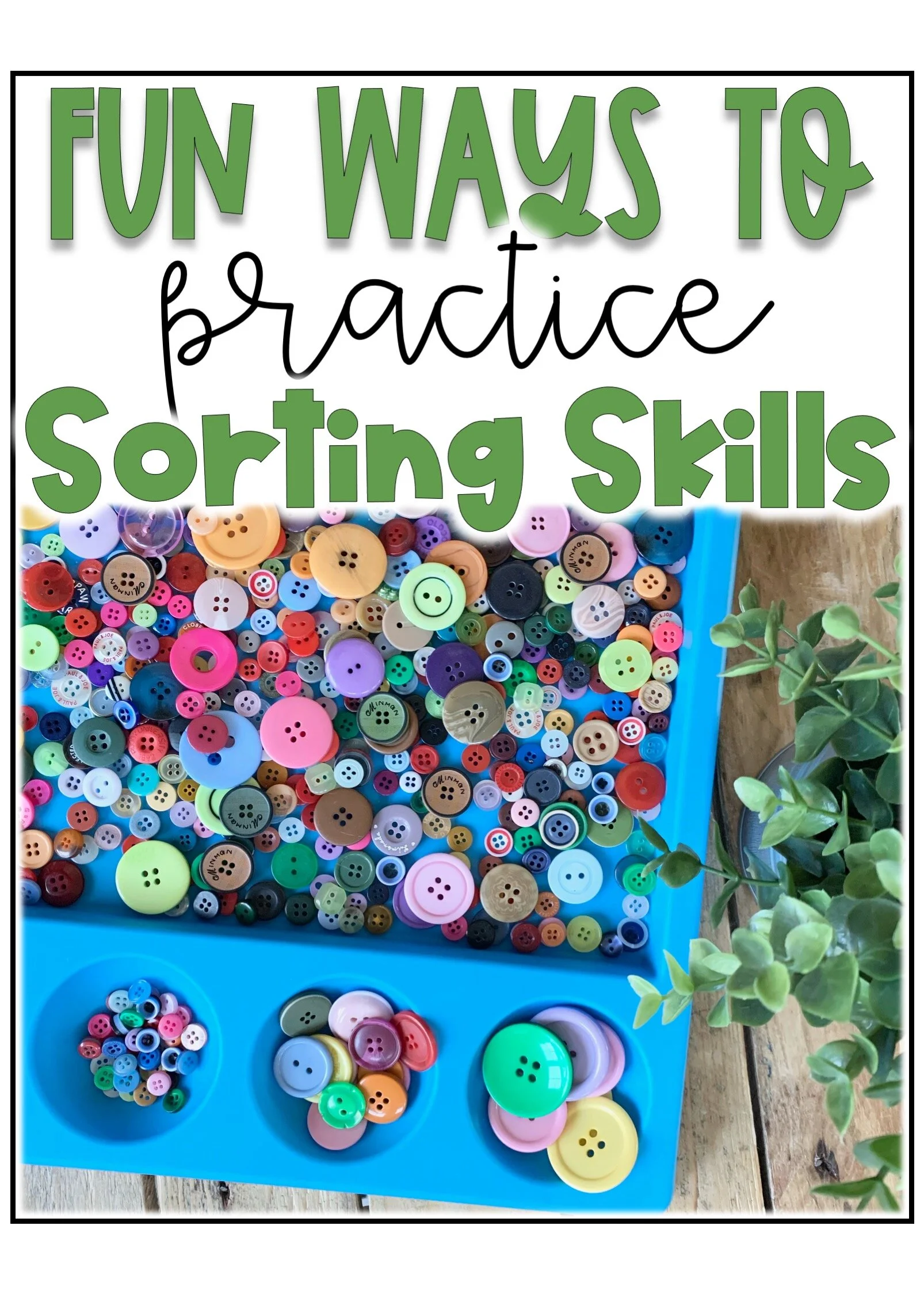 Fun Sorting Activities for Little Learners