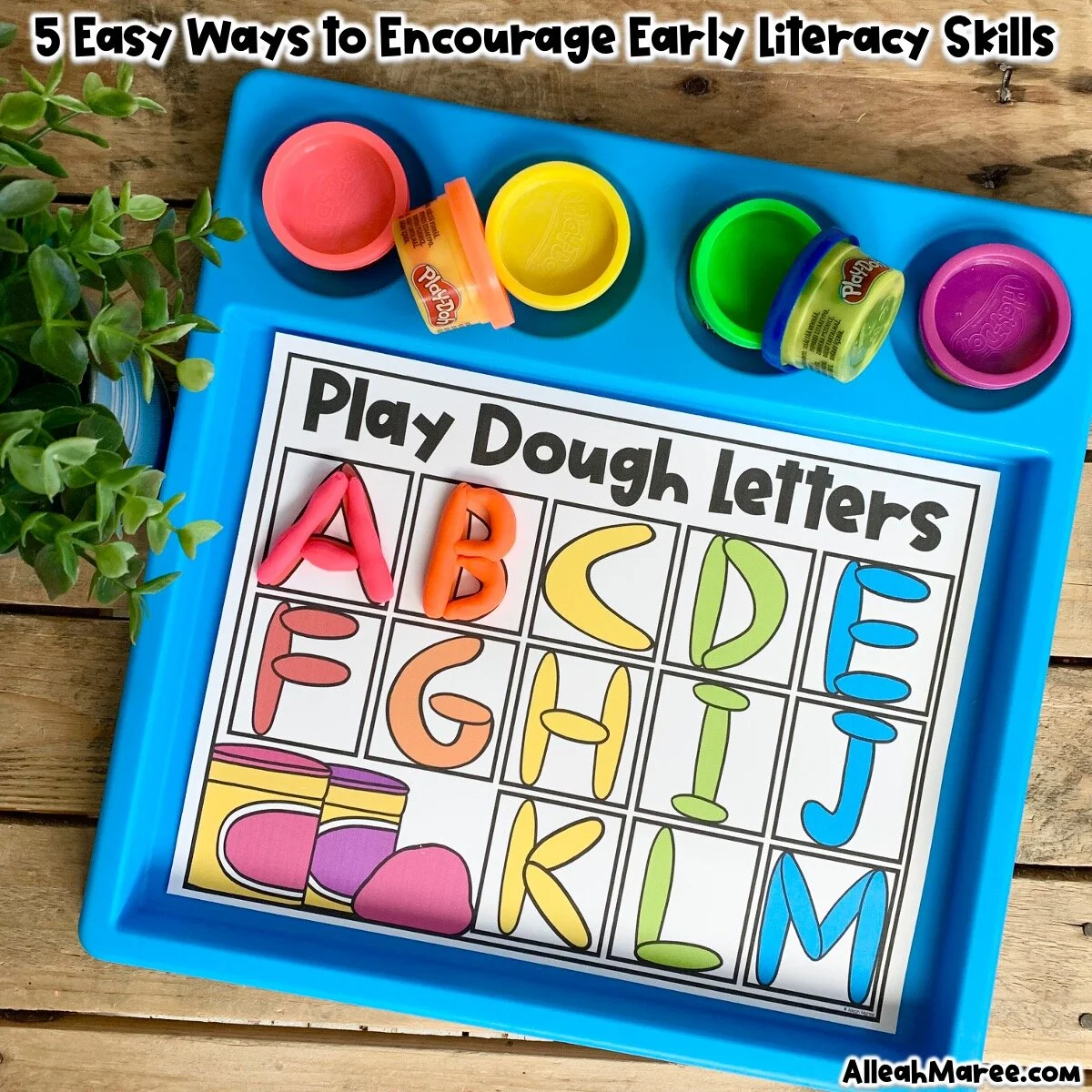 5 Easy Ways to Encourage Early Literacy Skills — Alleah Maree