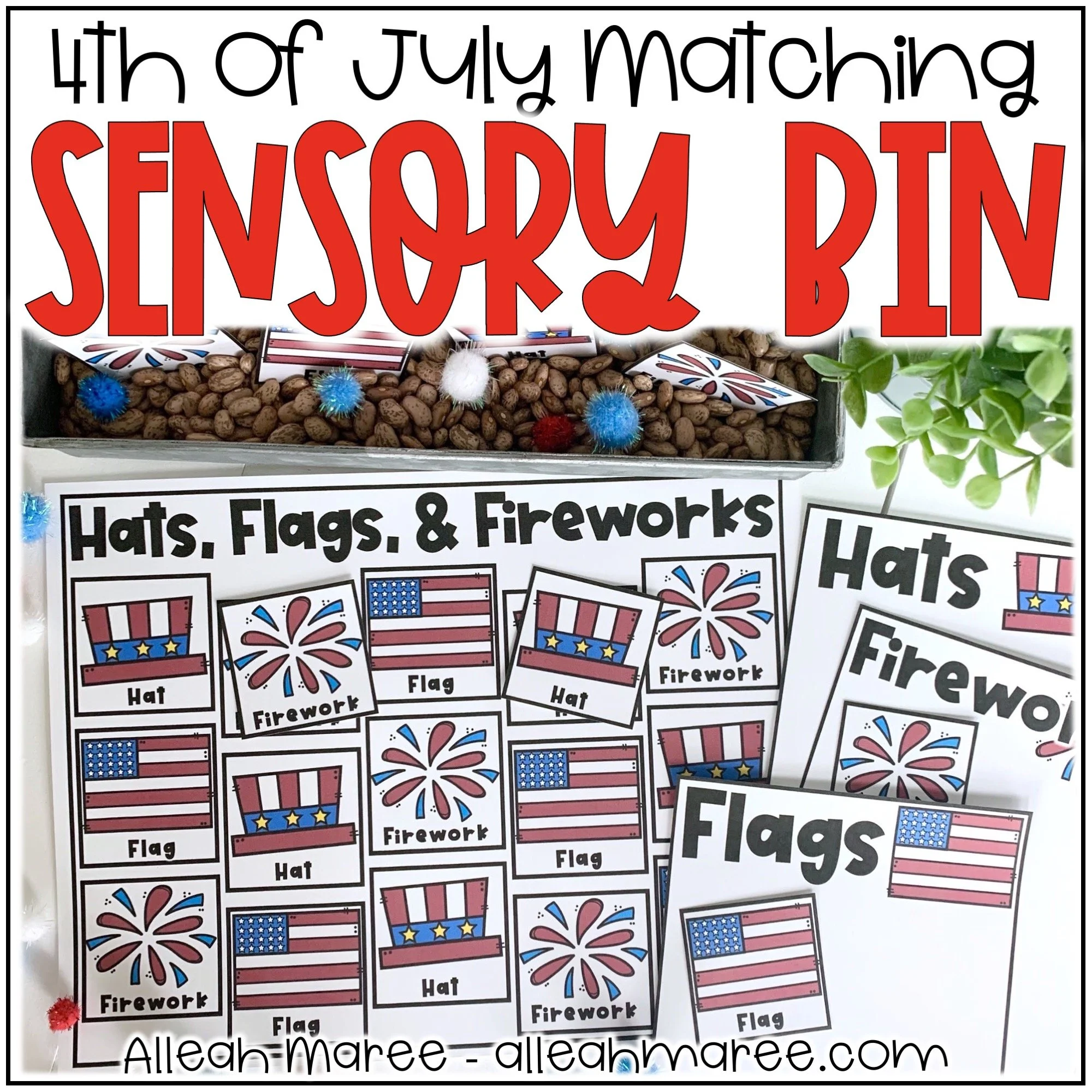 4thofJulySensoryBin.jpg