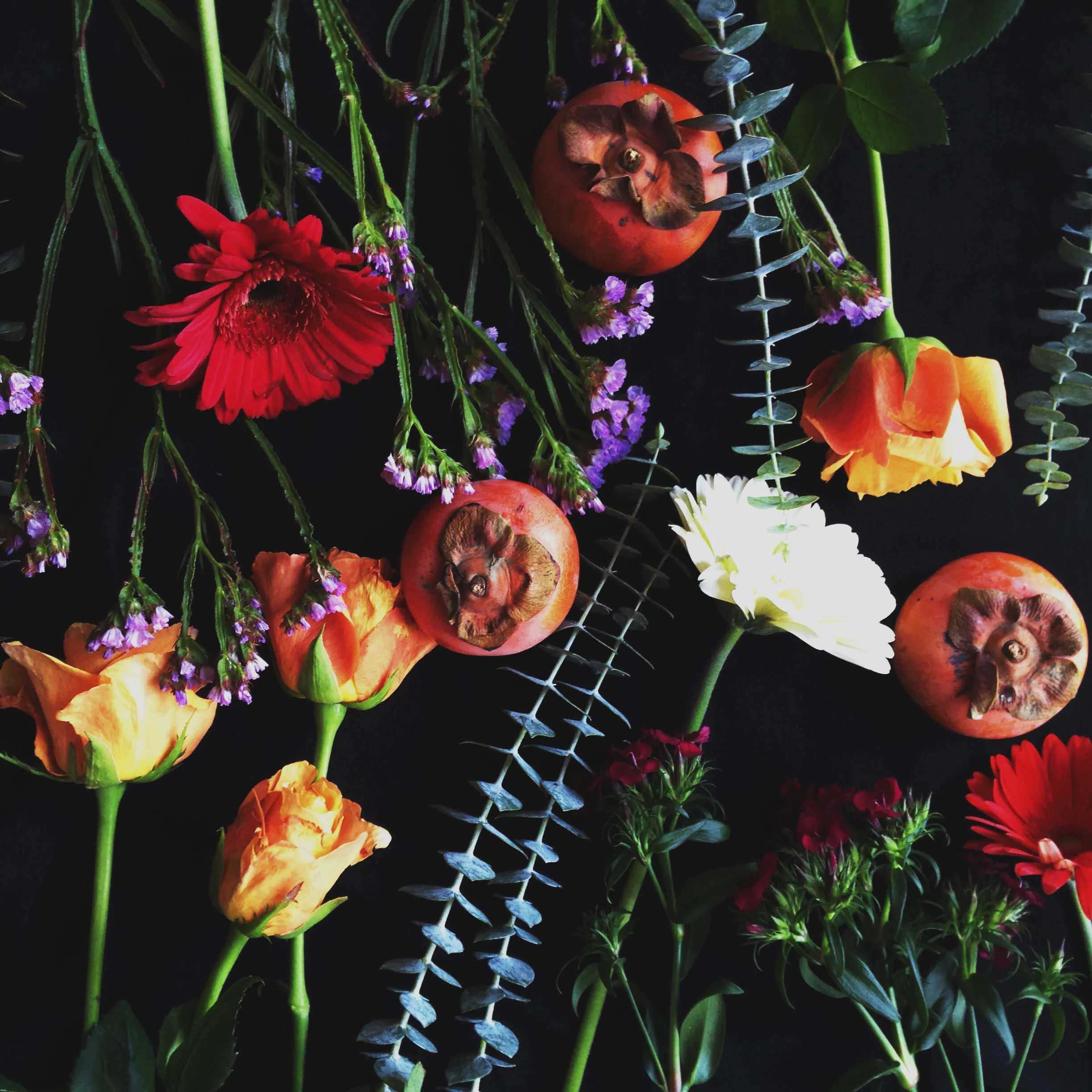 blooms on black.jpg
